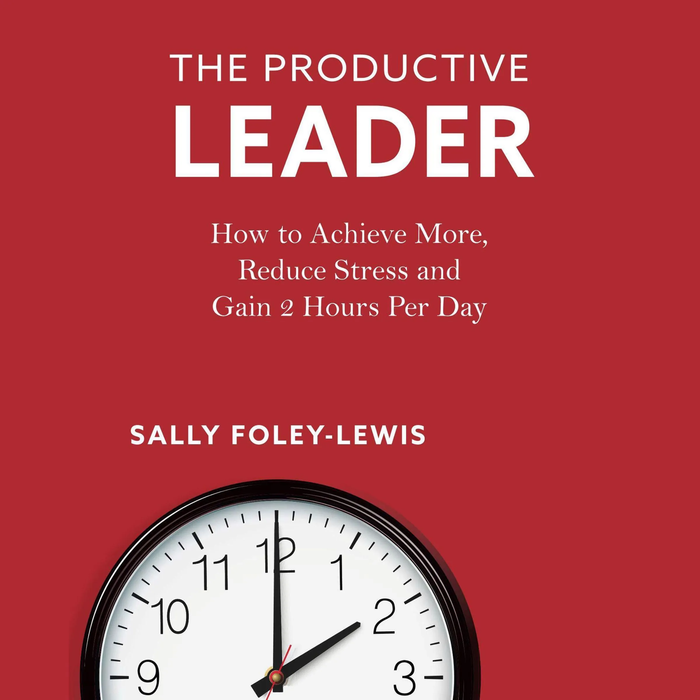 The Productive Leader by Sally Foley-Lewis Audiobook