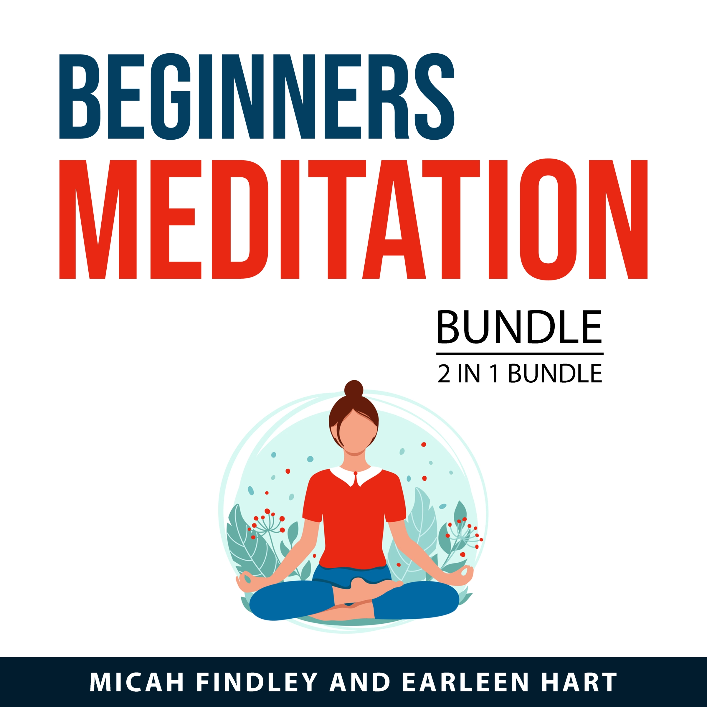 Beginners Meditation Bundle, 2 in 1 Bundle by Earleen Hart Audiobook