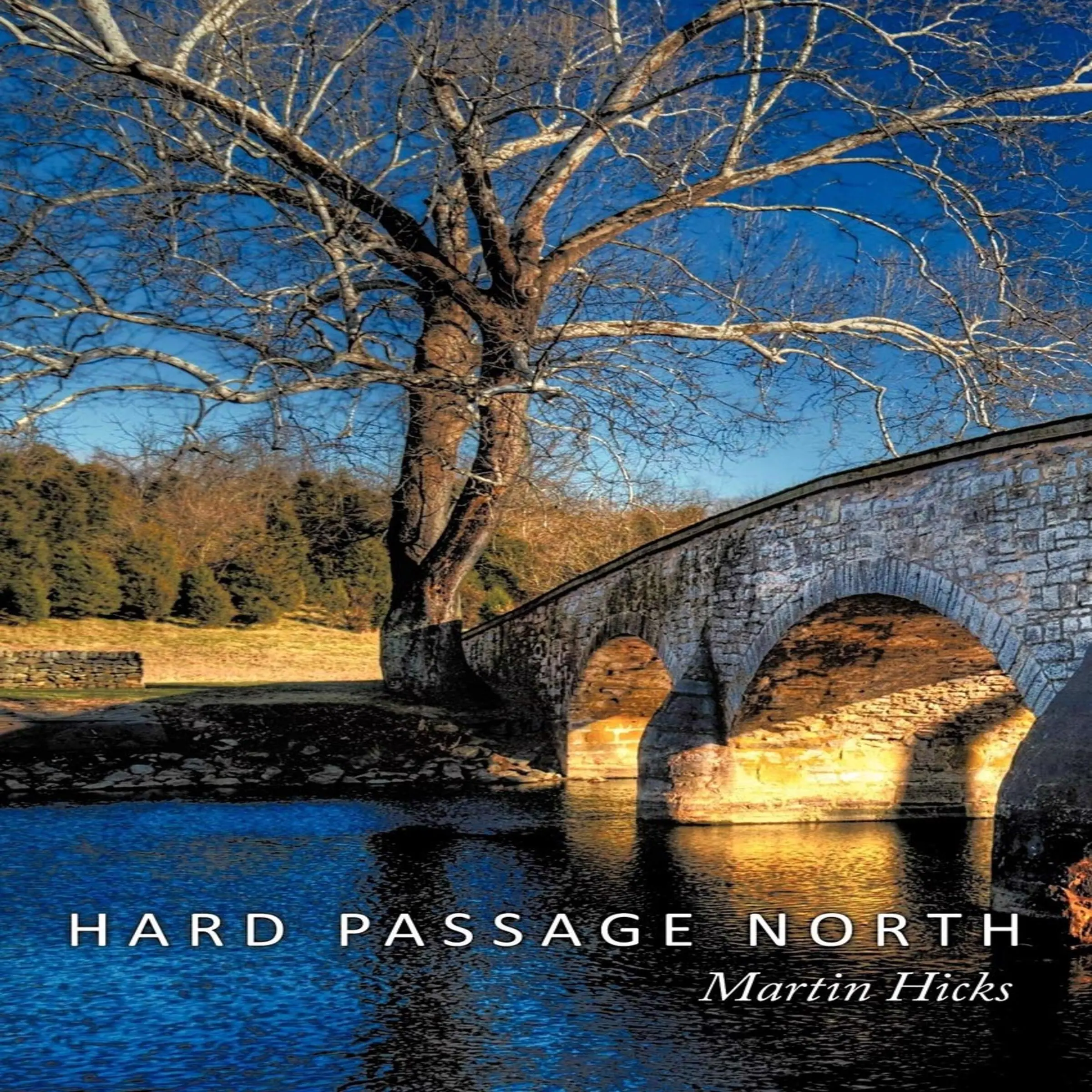 Hard Passage North by Martin Hicks Audiobook