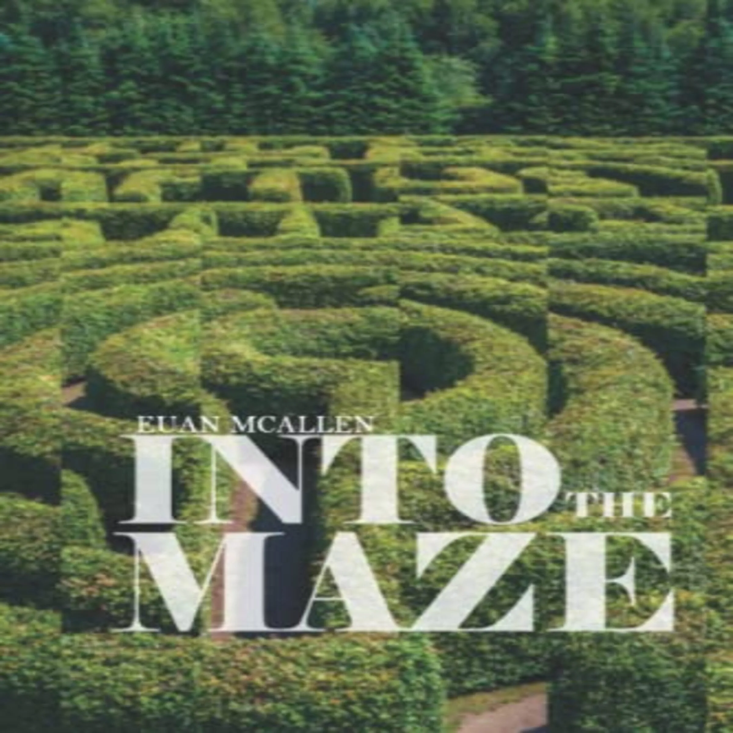 Into the Maze by Euan McAllen Audiobook