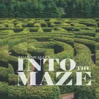 Into the Maze Audiobook by Euan McAllen