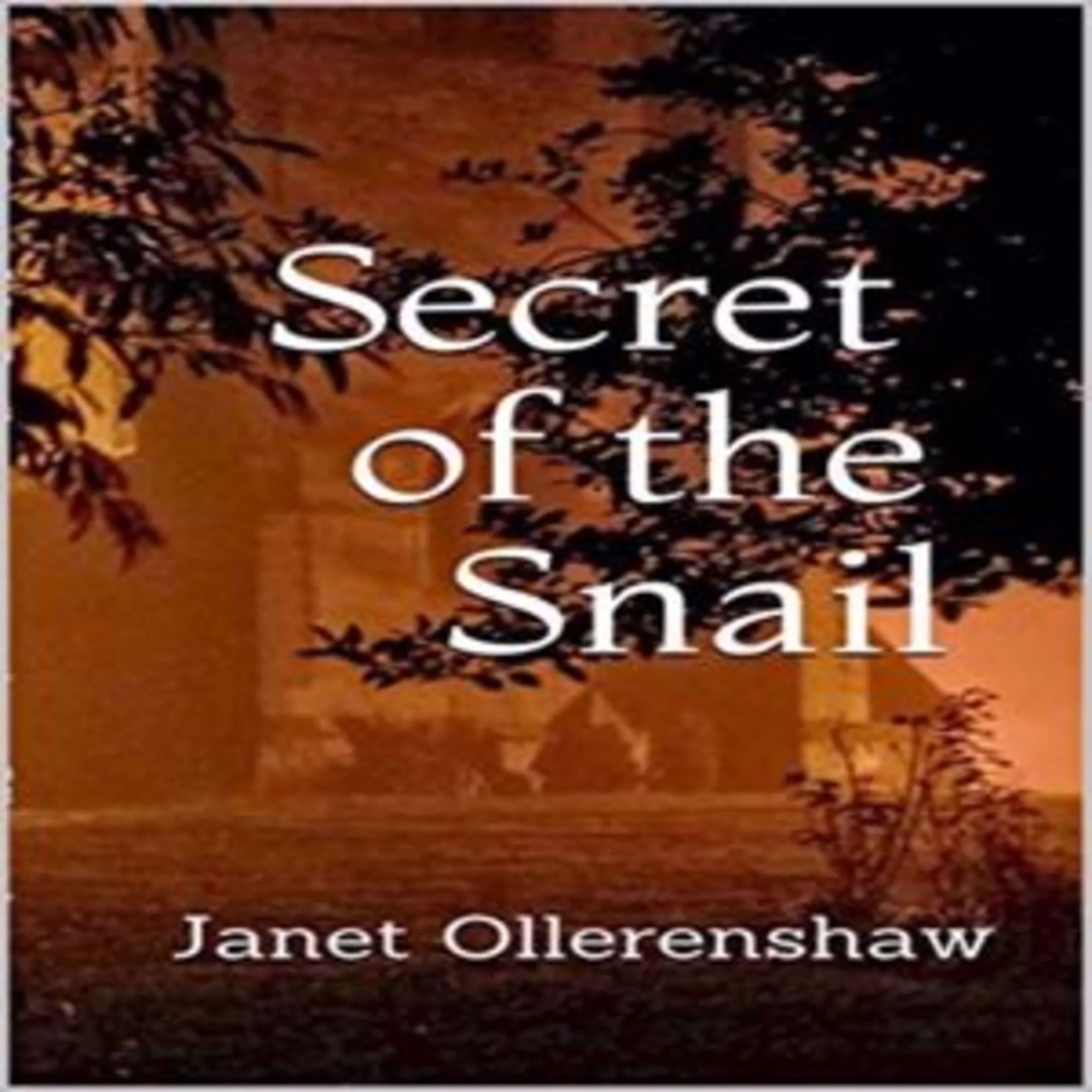 Secret of the Snail Audiobook by Janet Ollerenshaw