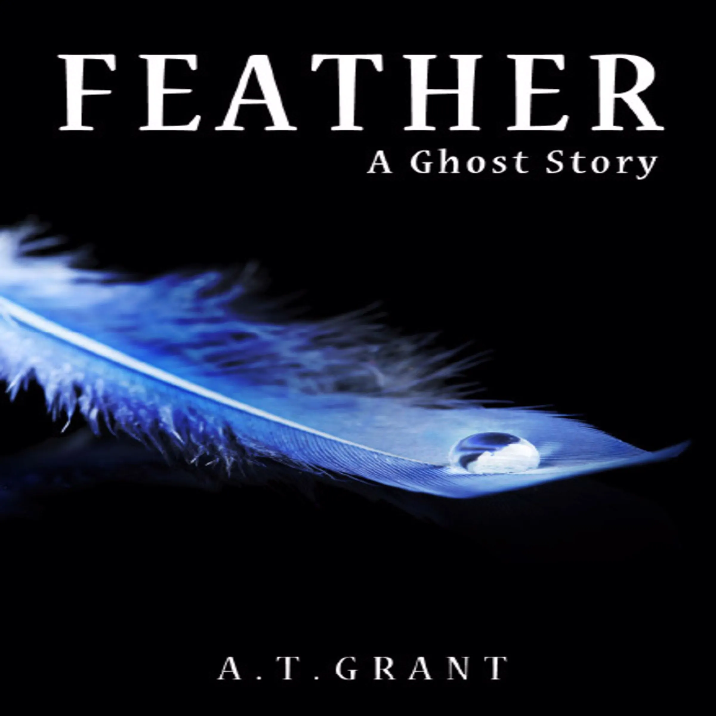 Feather: A Ghost Story by A T Grant