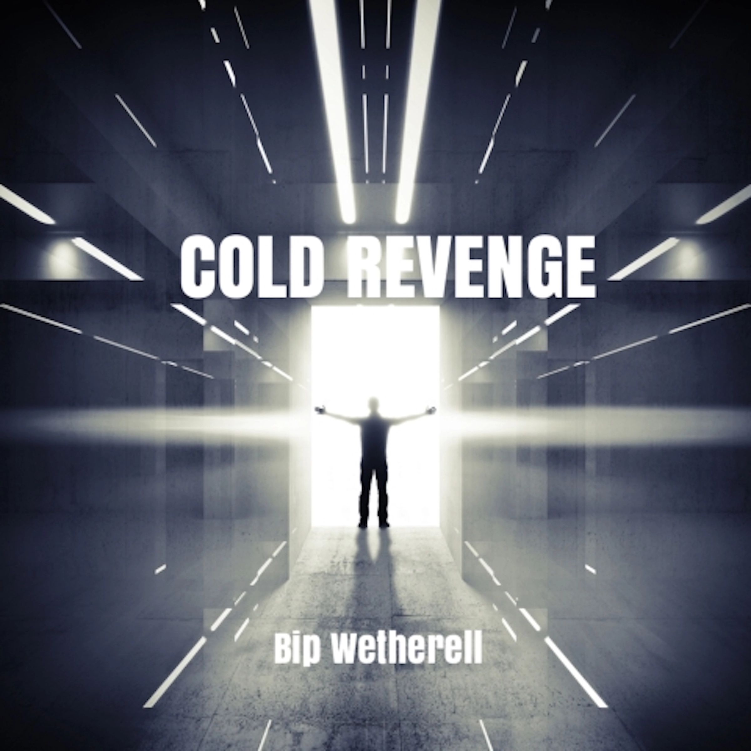 Cold Revenge Audiobook by Bip Wetherall