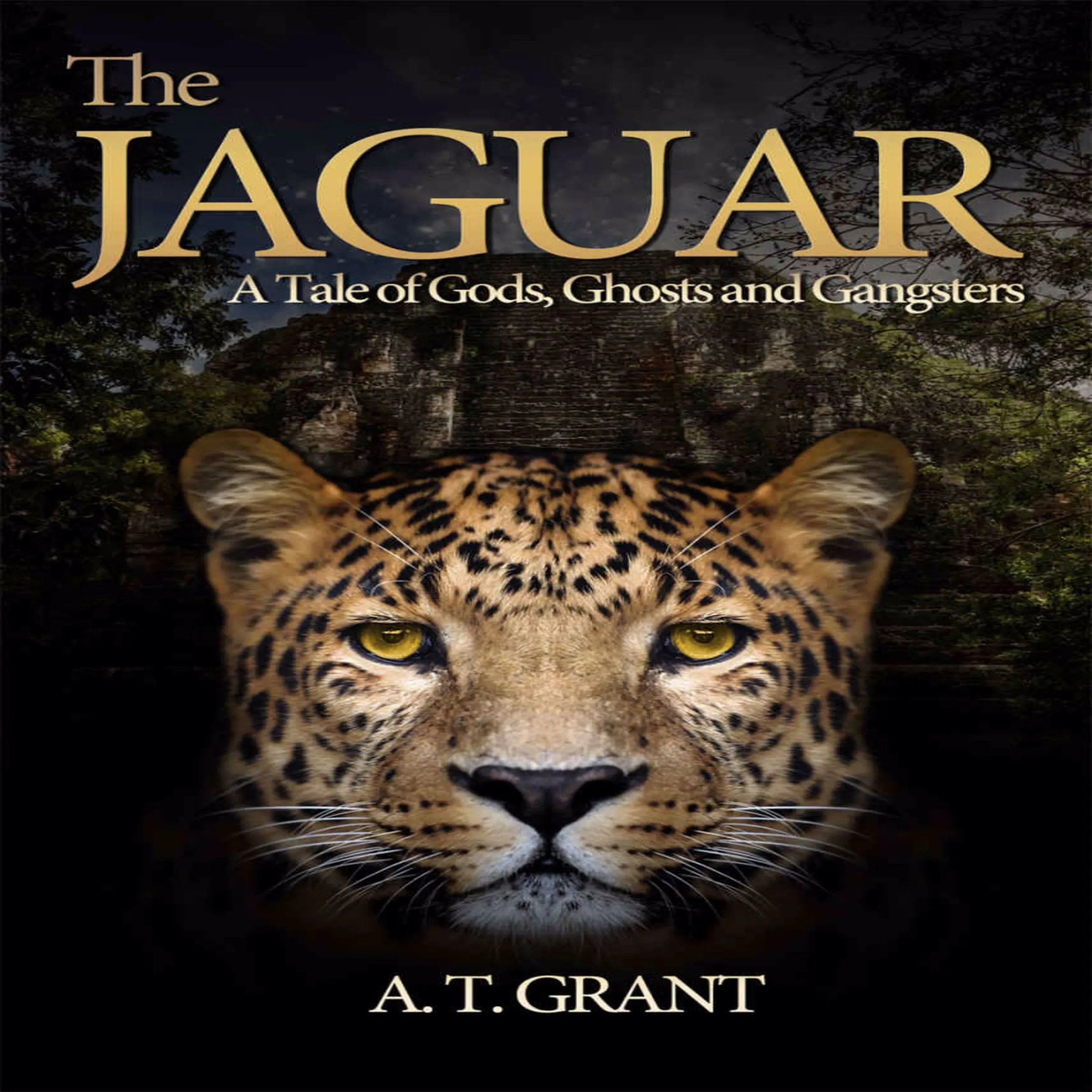 The Jaguar:  A Tale Of Gods. Ghosts and Gangsters by A T Grant