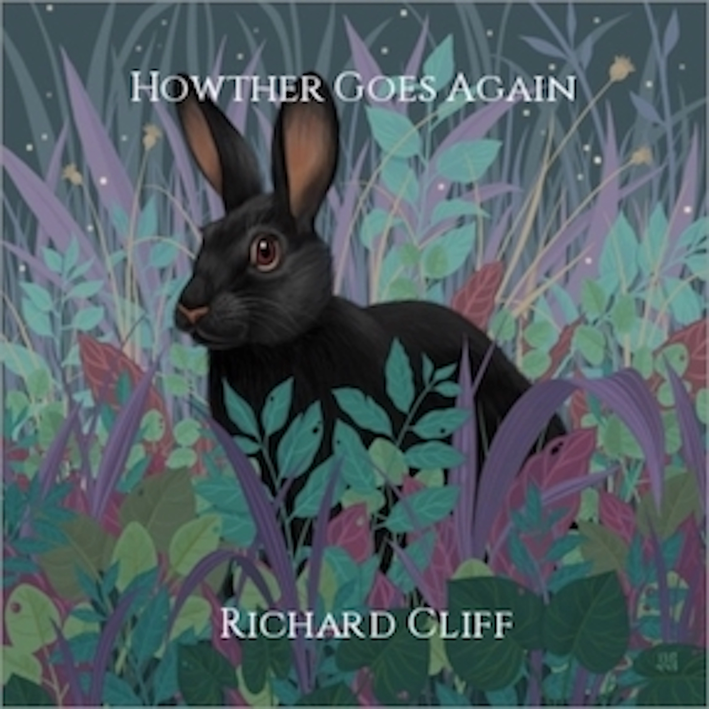 Howther goes Again Audiobook by Richard Cliff