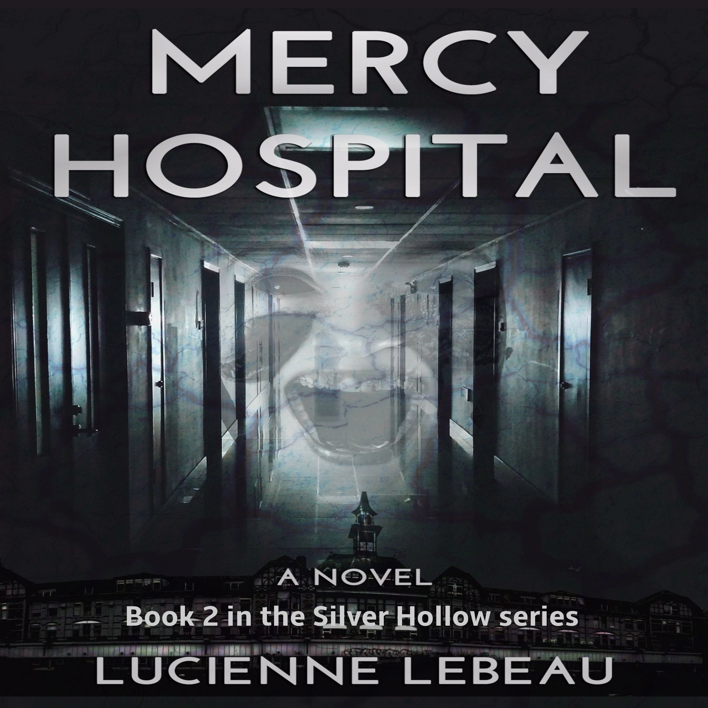 Mercy Hospital:  Book 2 in the Silver Hollow Series by Lucienne LeBeau Audiobook