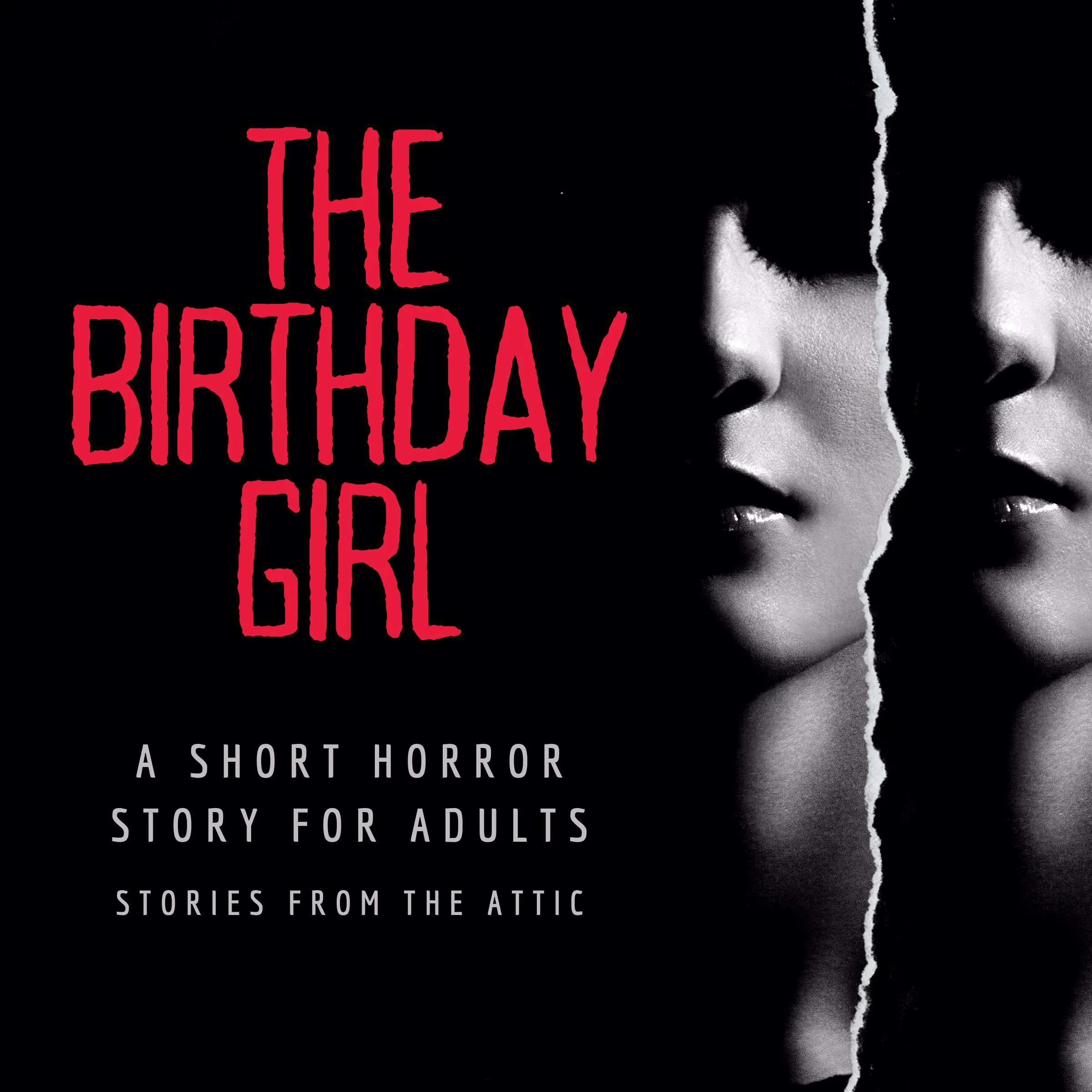 The Birthday Girl Audiobook by Stories From The Attic