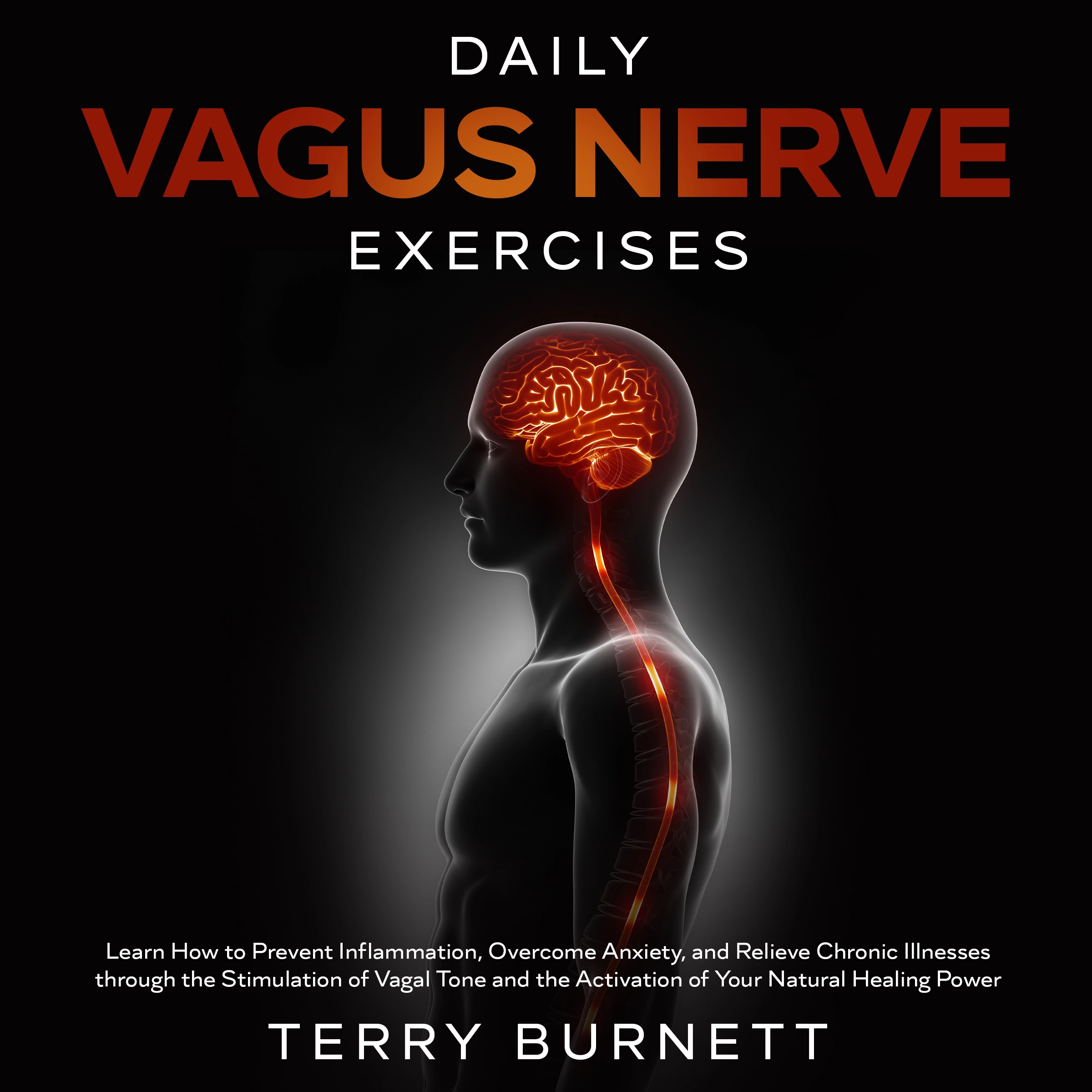 Daily Vagus Nerve Exercises by Terry Burnett Audiobook