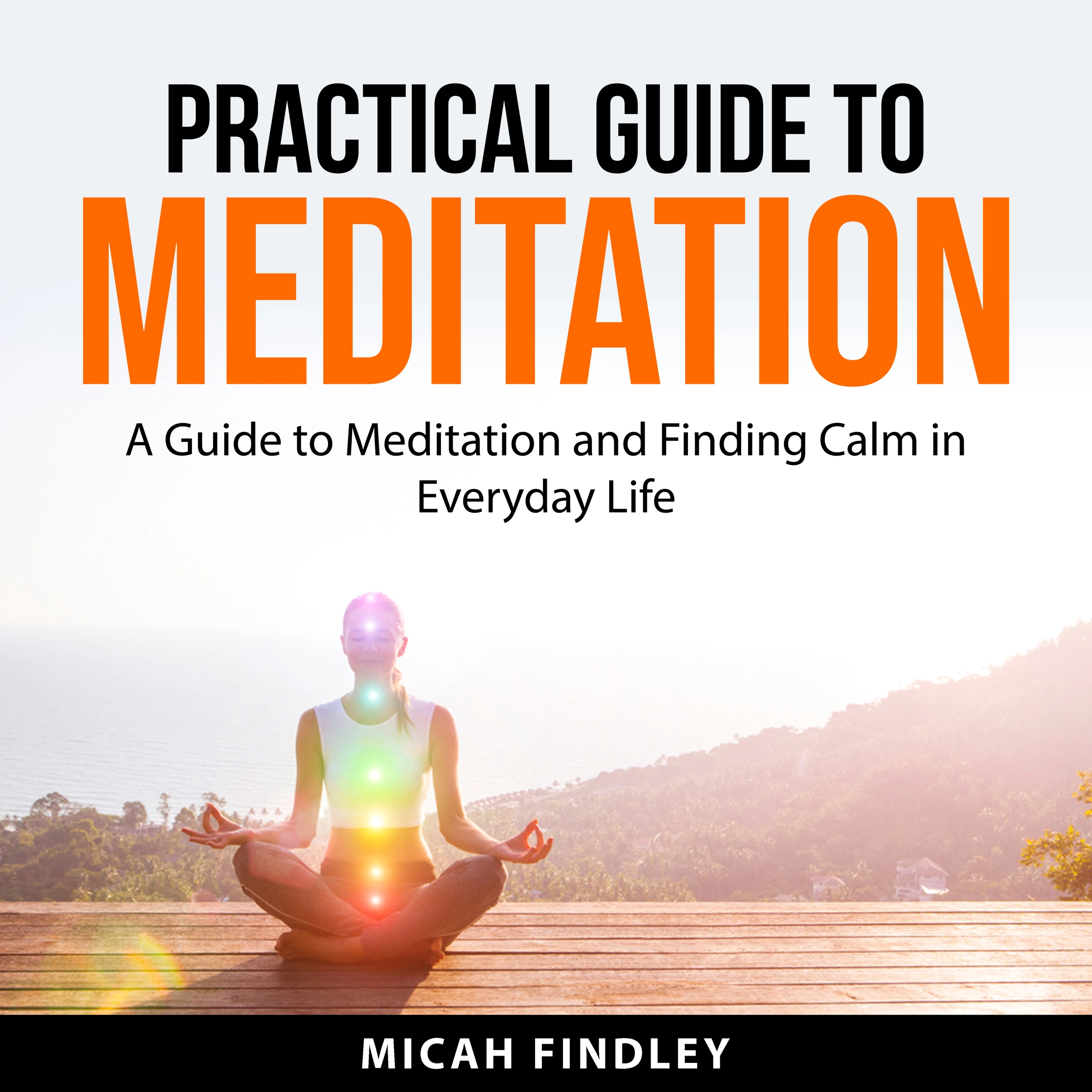 Practical Guide to Meditation by Micah Findley