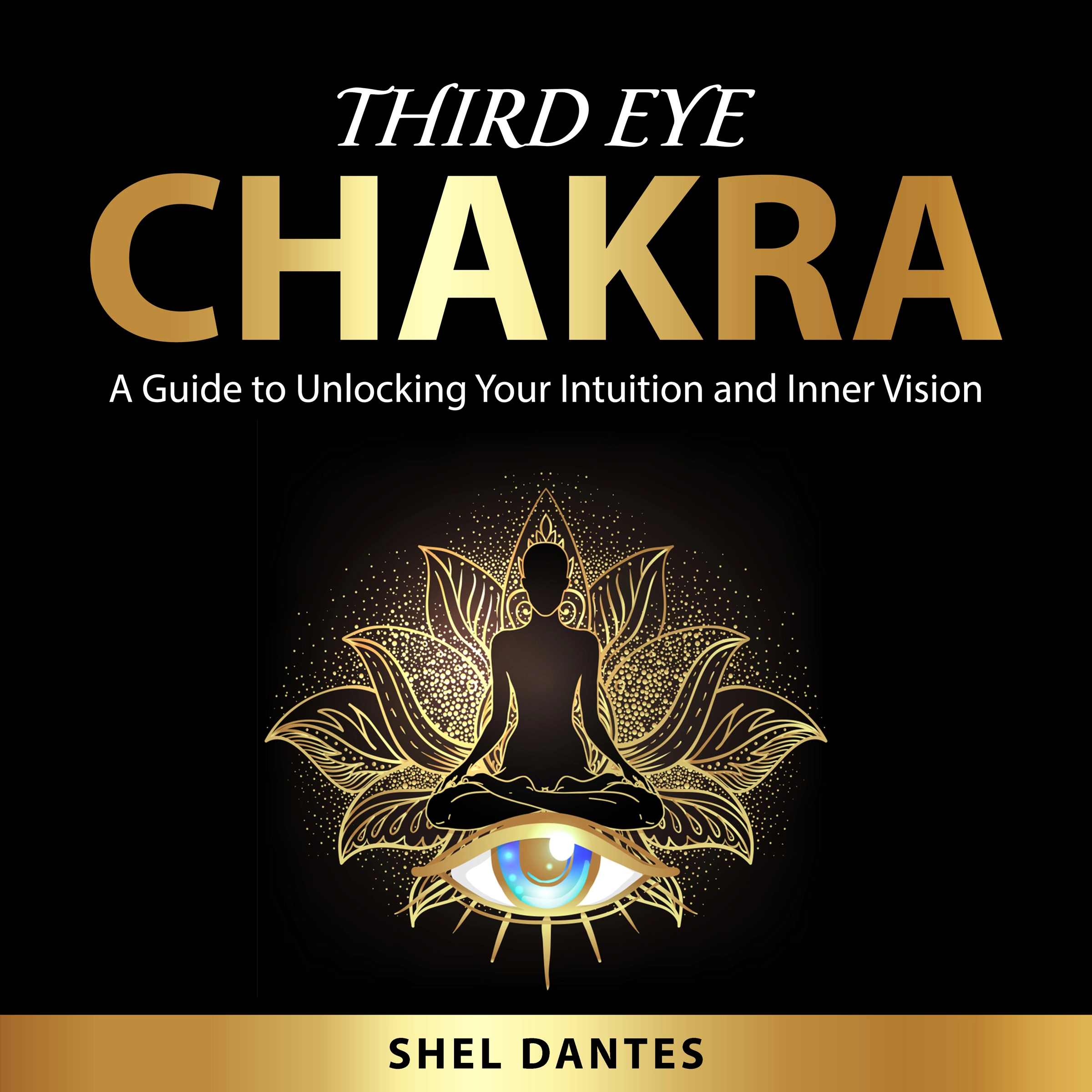 Third Eye Chakra Audiobook by Shel Dantes