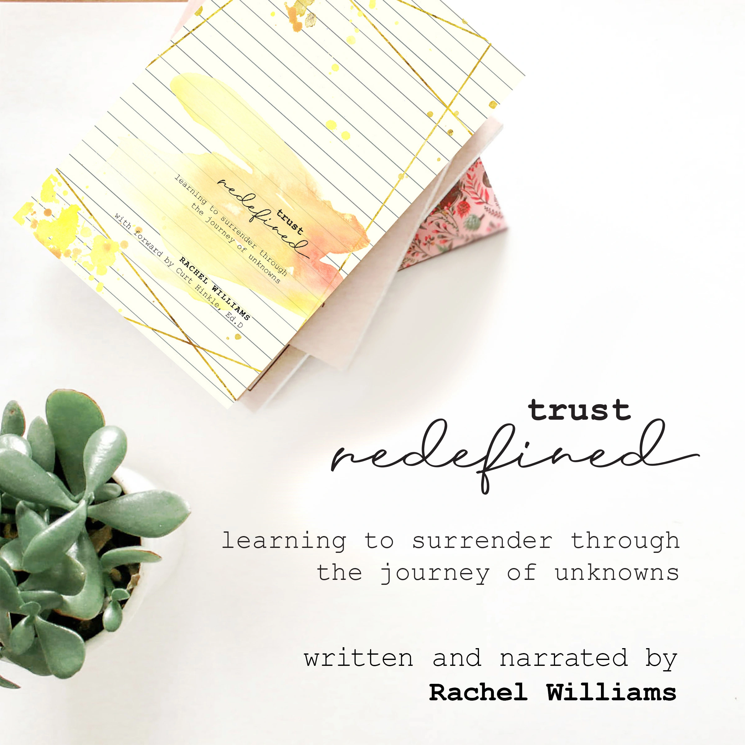 Trust Redefined by Rachel Williams Audiobook