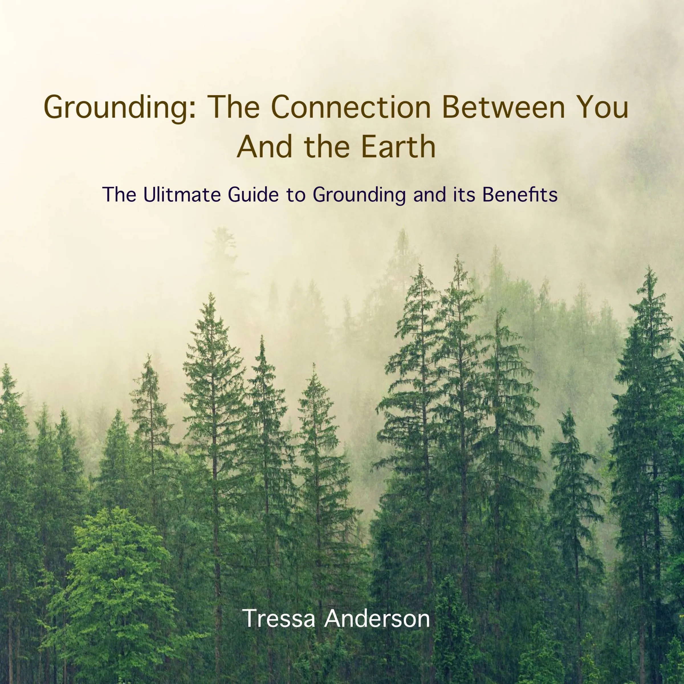 Grounding: The Connection Between You and the Earth Audiobook by Tressa Anderson