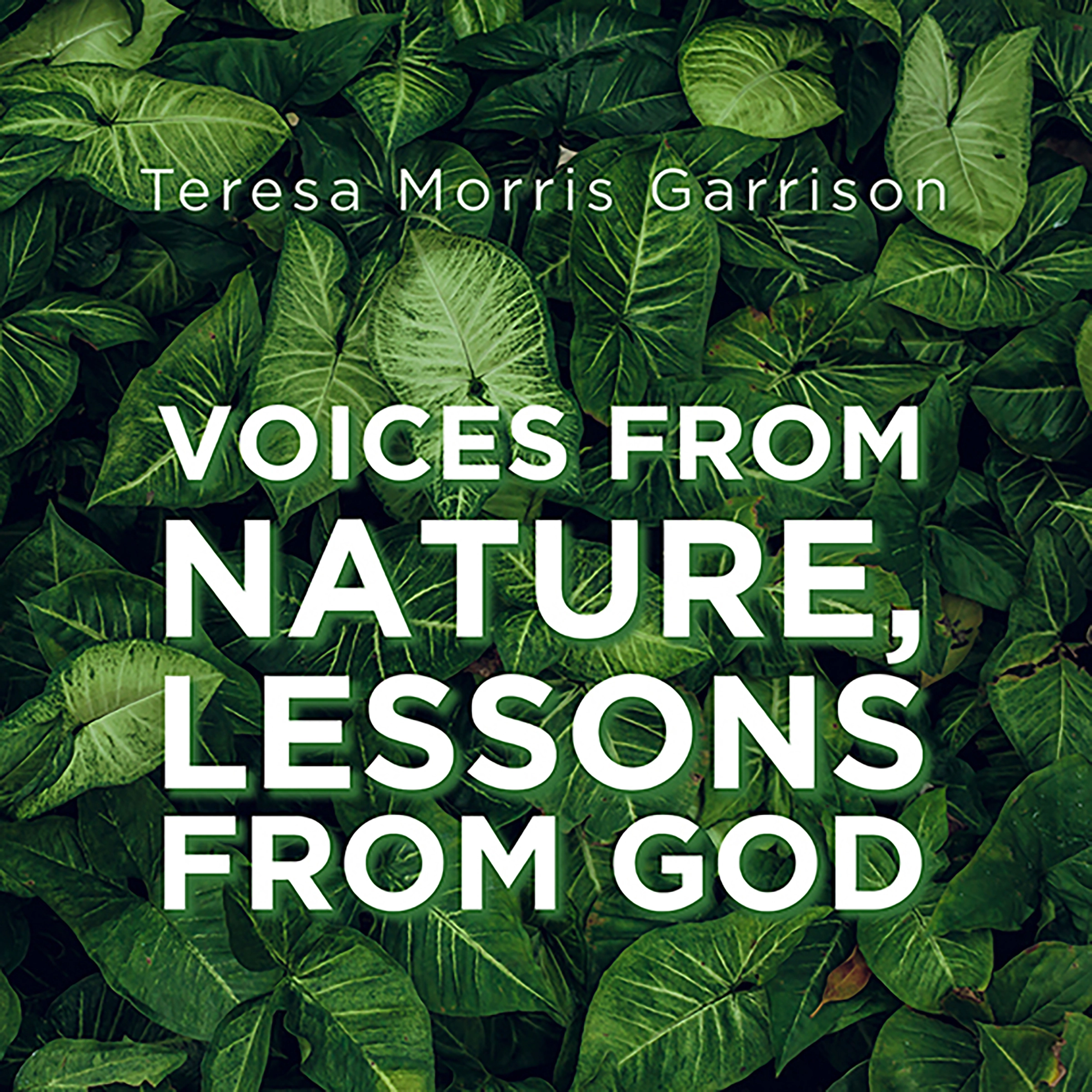 Voices From Nature, Lessons From God by Teresa Morris Garrison Audiobook