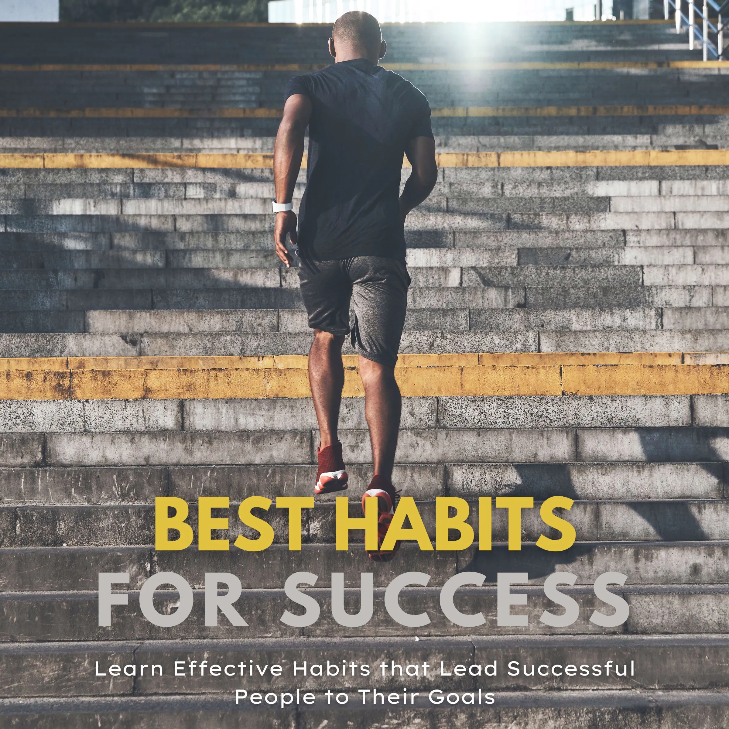 Best Habits for Success by Kelly Andrews Audiobook