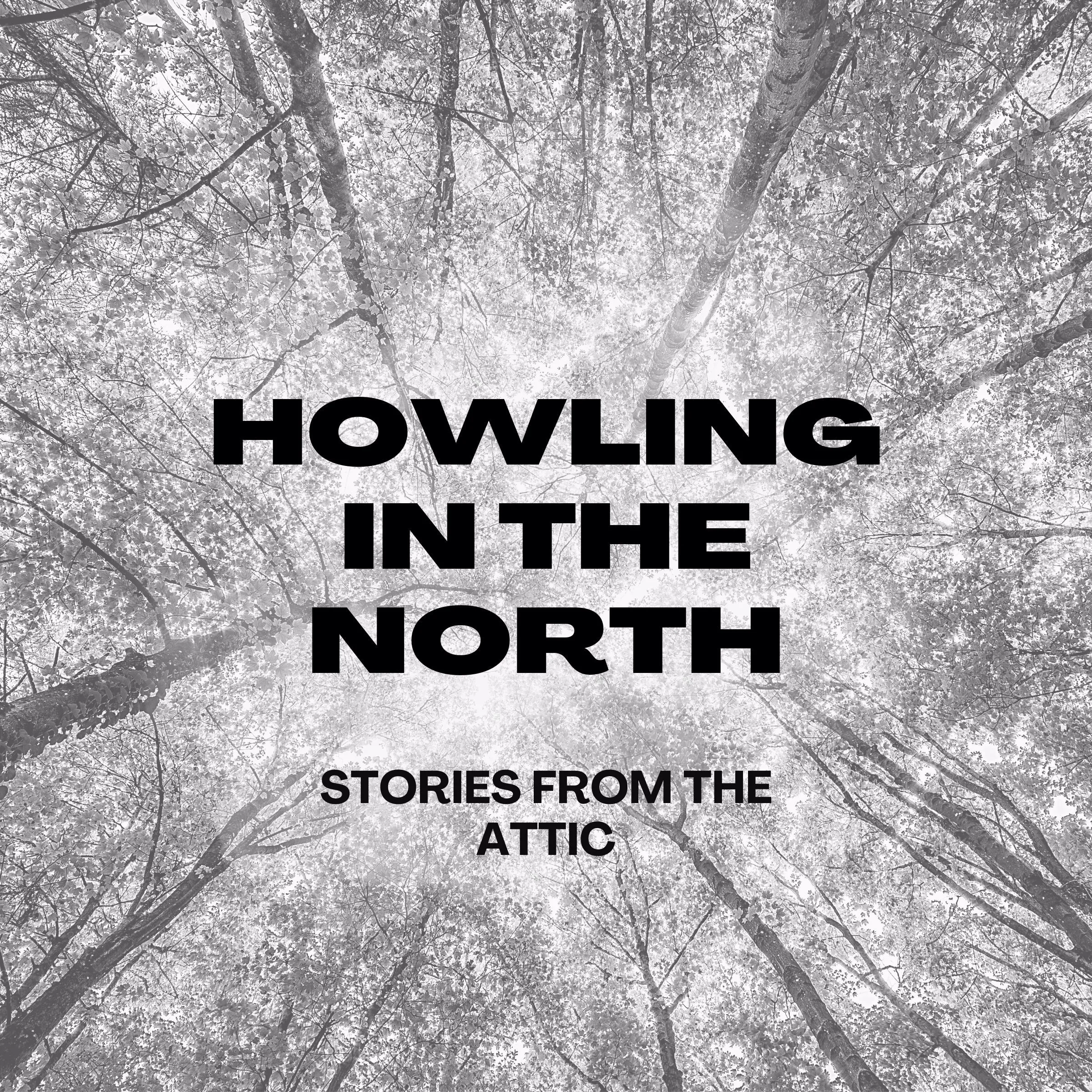 Howling In The North by Stories From The Attic Audiobook