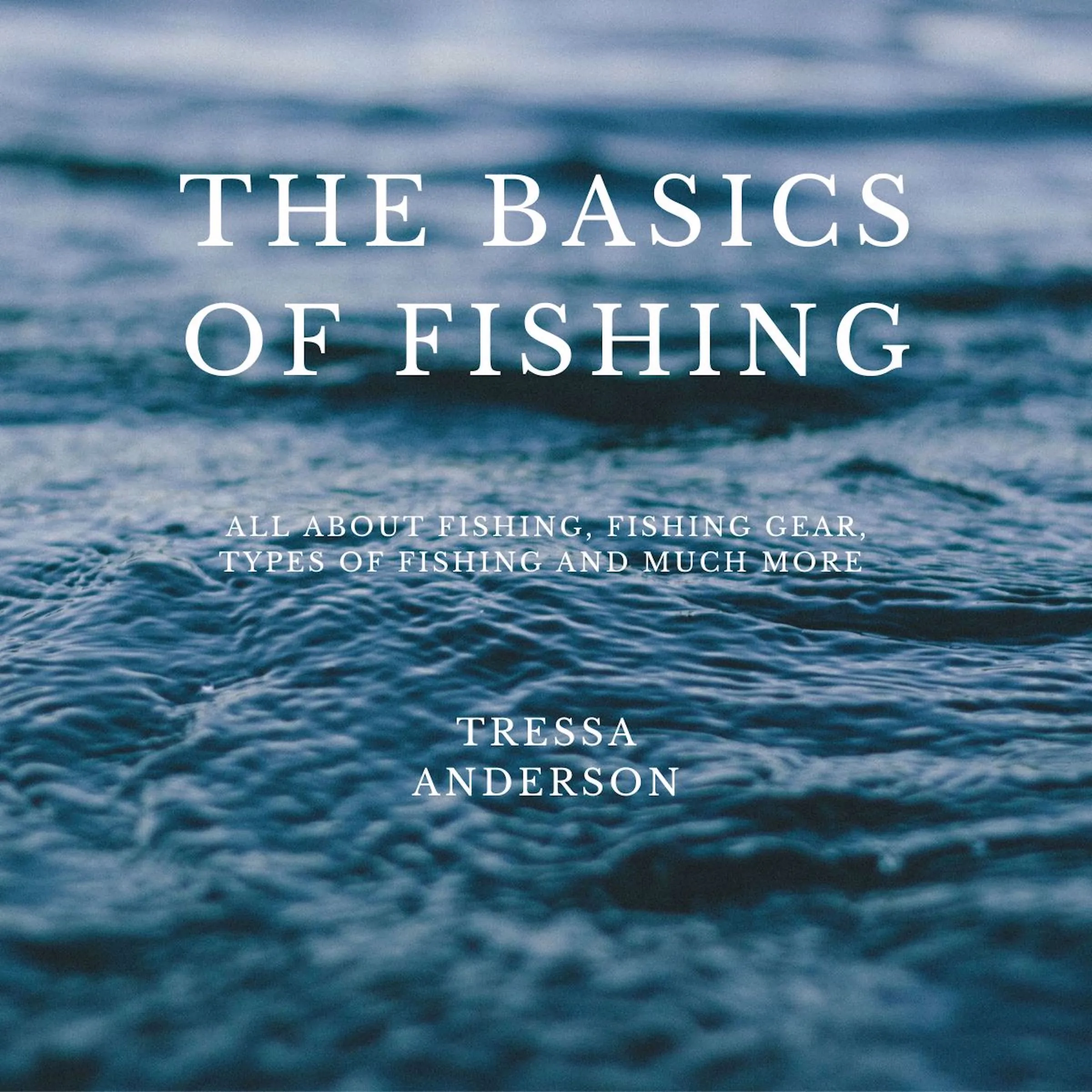 The Basics of Fishing Audiobook by Tressa Anderson