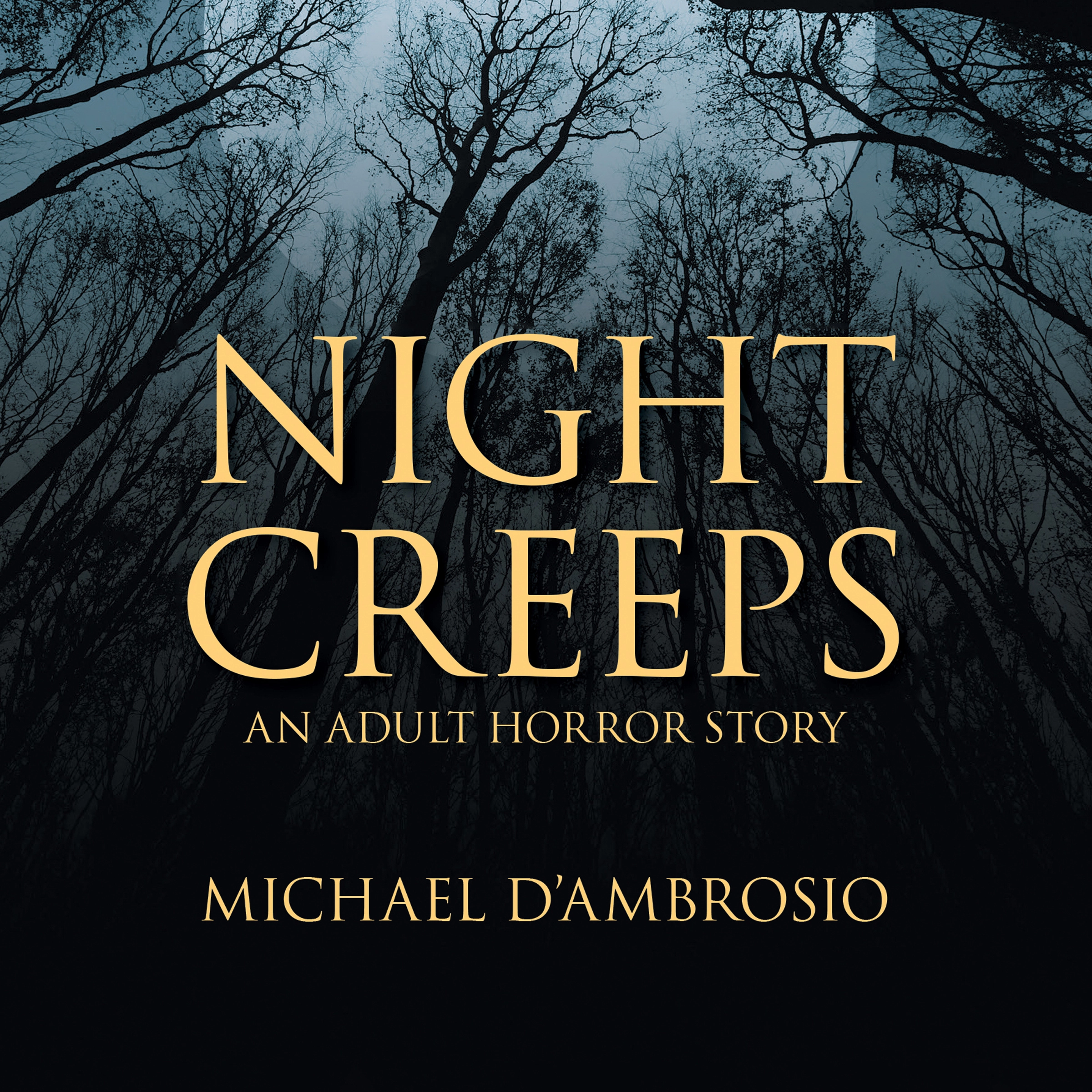 Night Creeps by Michael D'Ambrosio Audiobook