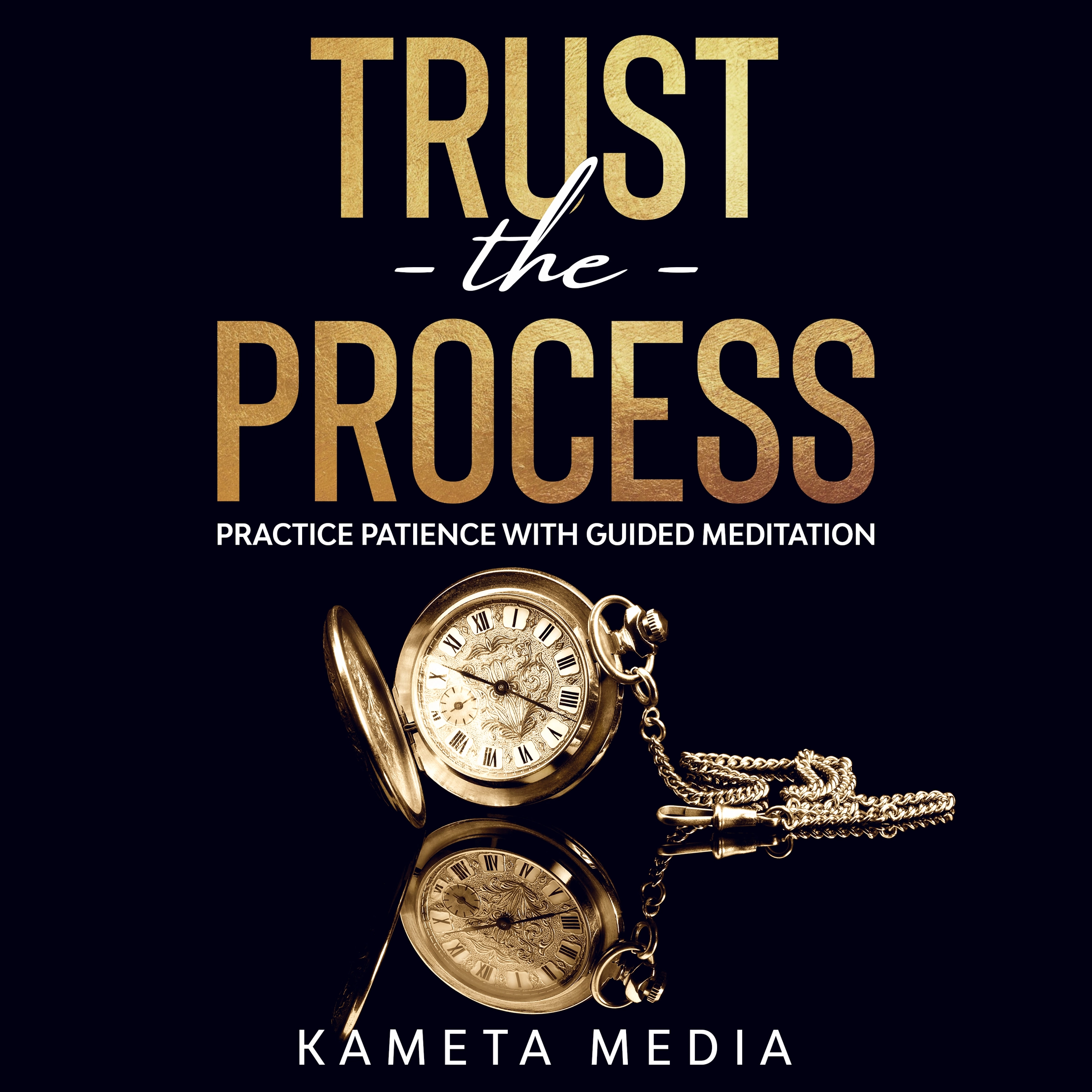 Trust the Process: Practice Patience with Guided Meditation by Kameta Media Audiobook