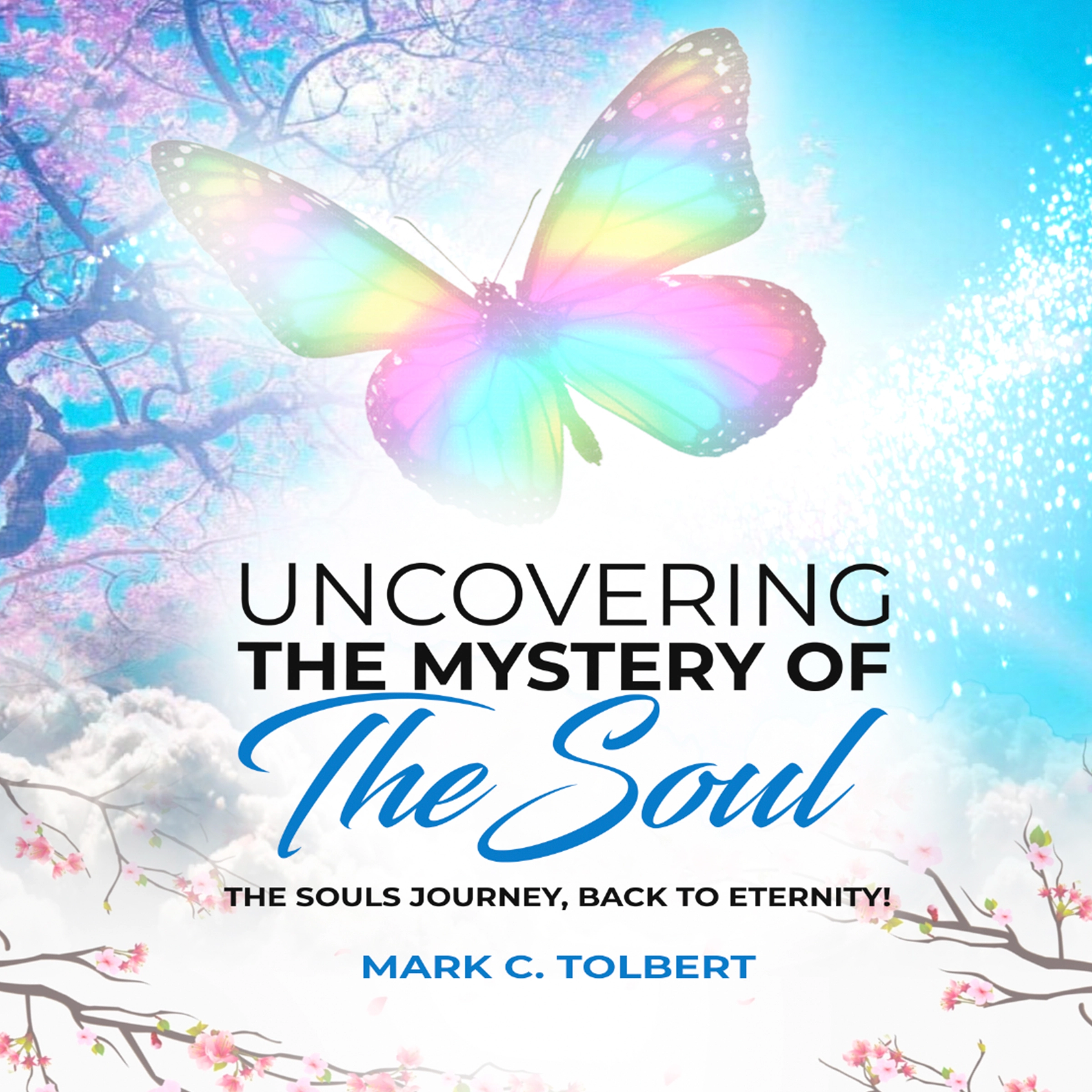 Uncovering The Mystery of Your Soul by Mark C Tolbert Audiobook