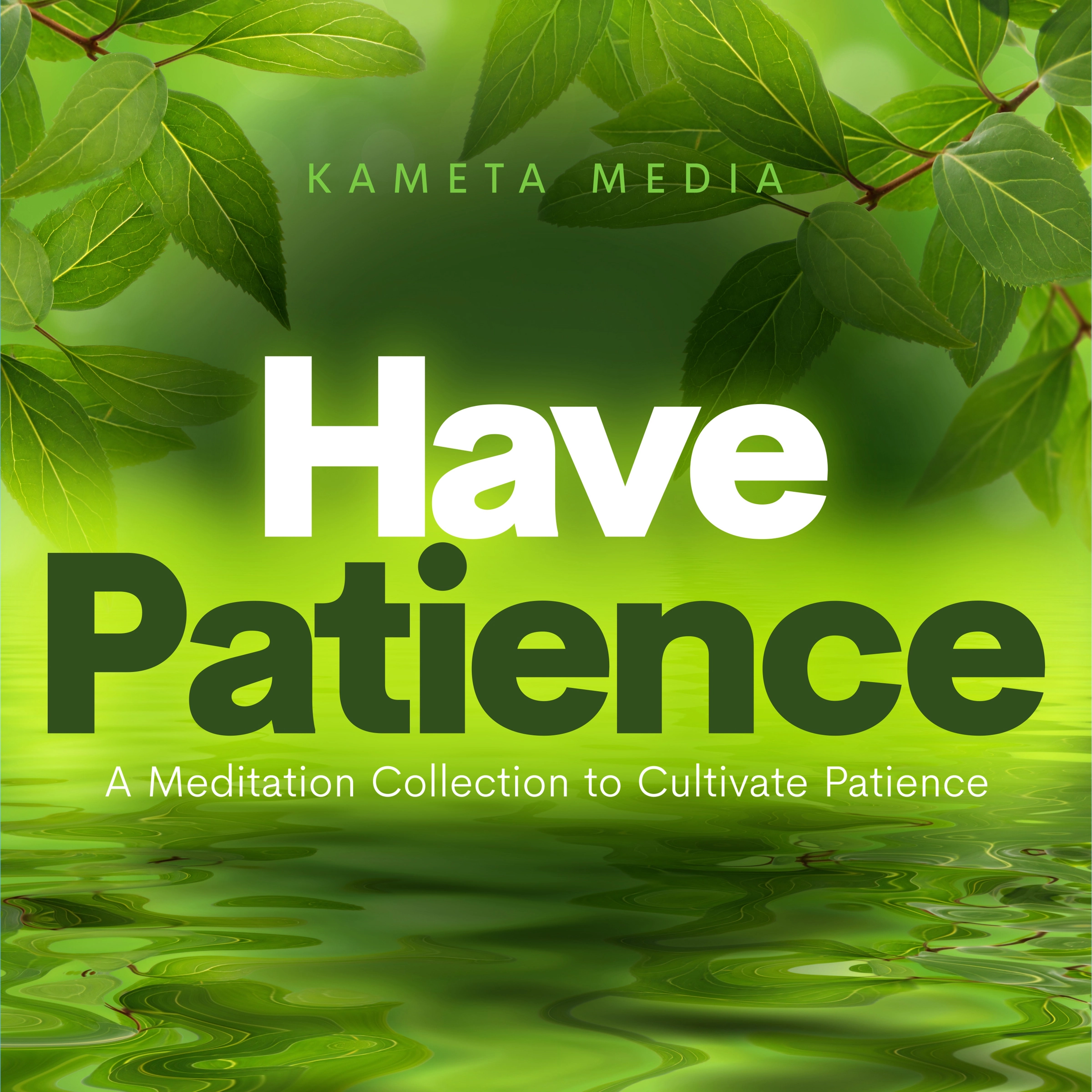 Have Patience: A Meditation Collection to Cultivate Patience by Kameta Media Audiobook