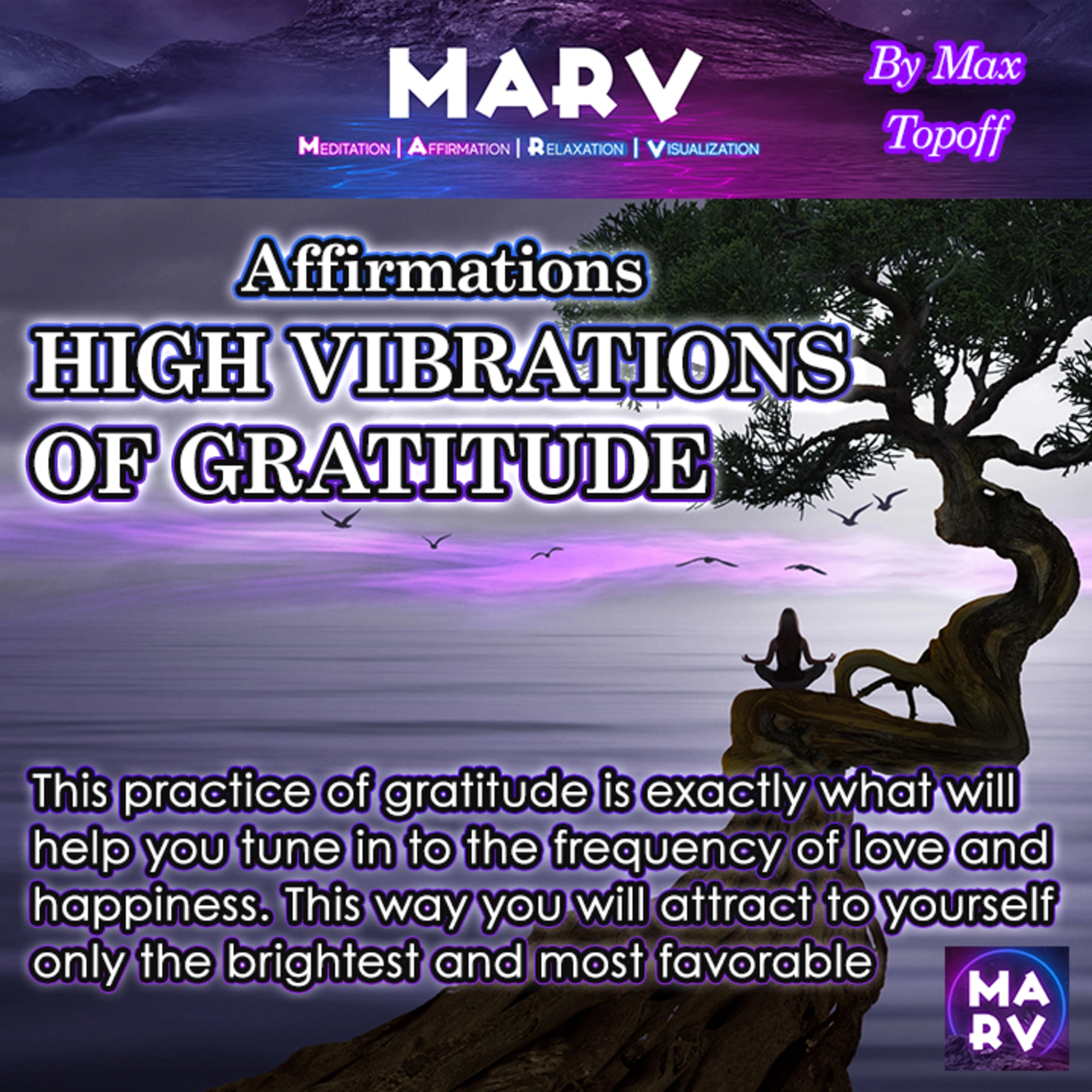 Affirmations High Vibrations Of Gratitude Audiobook by Max Topoff