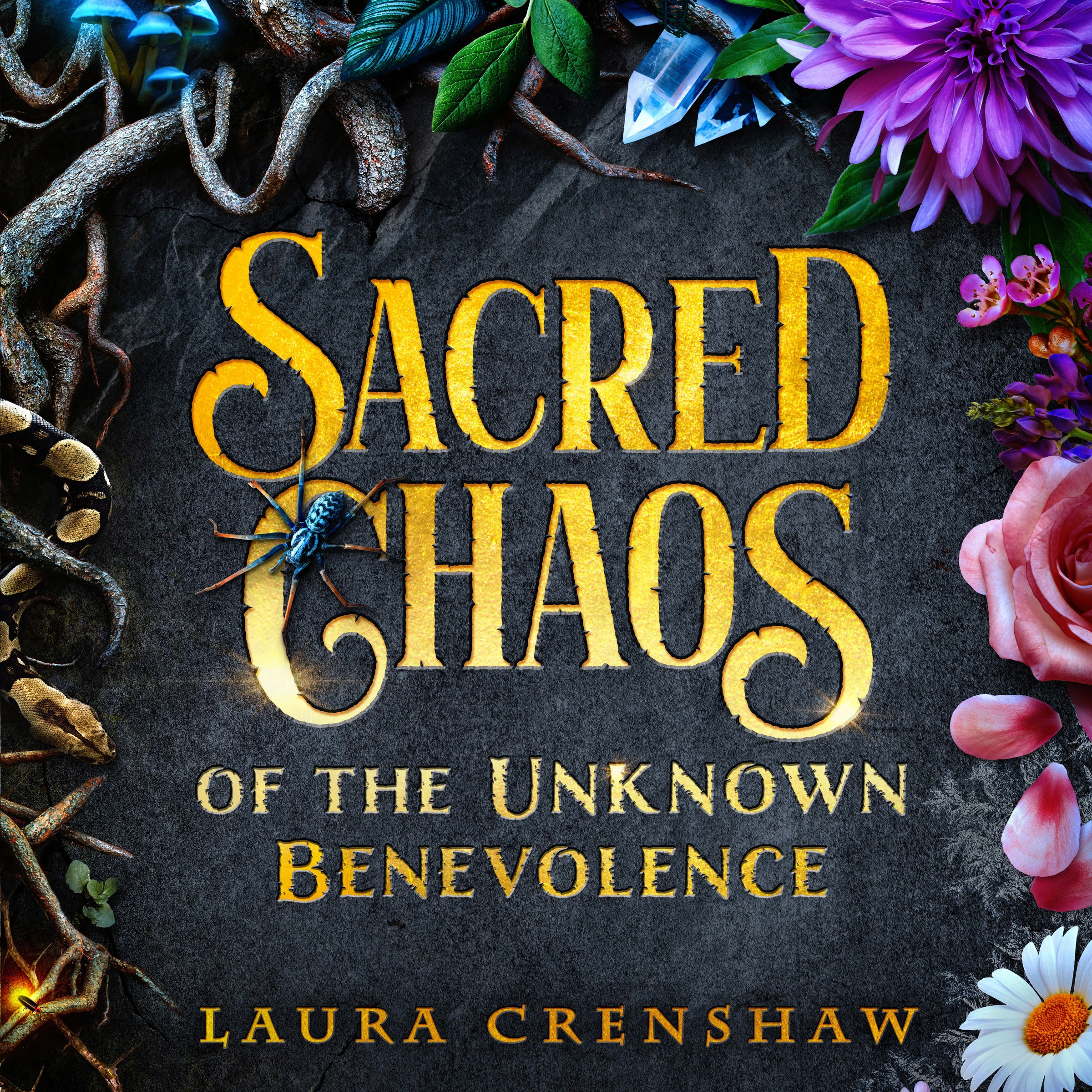 Sacred Chaos of the Unknown Benevolence by Laura Crenshaw