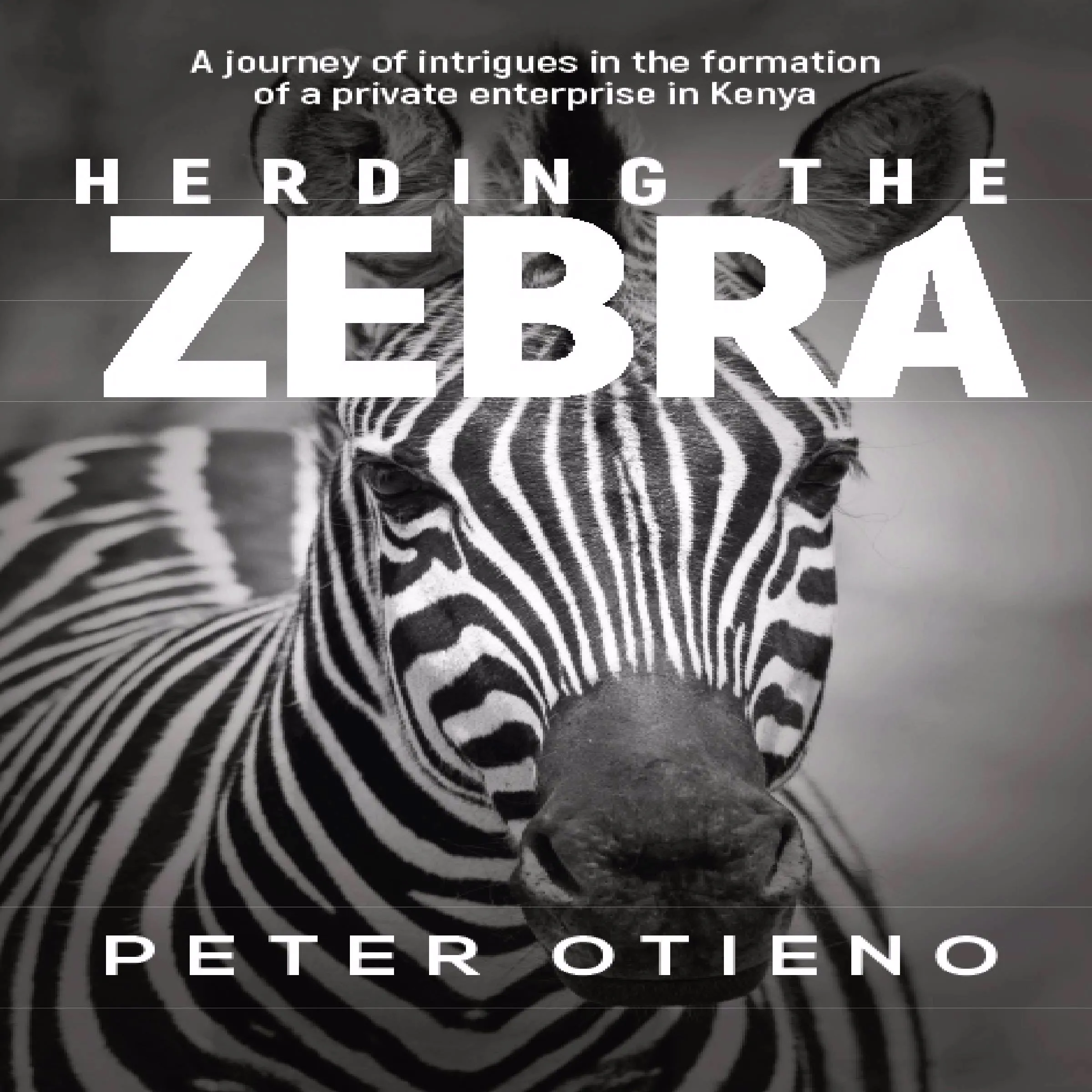 Herding the Zebra by Peter Otieno Audiobook