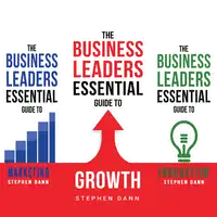 The Business Leaders Essential Guide to Growth / Marketing / Innovation Audiobook by Stephen Dann