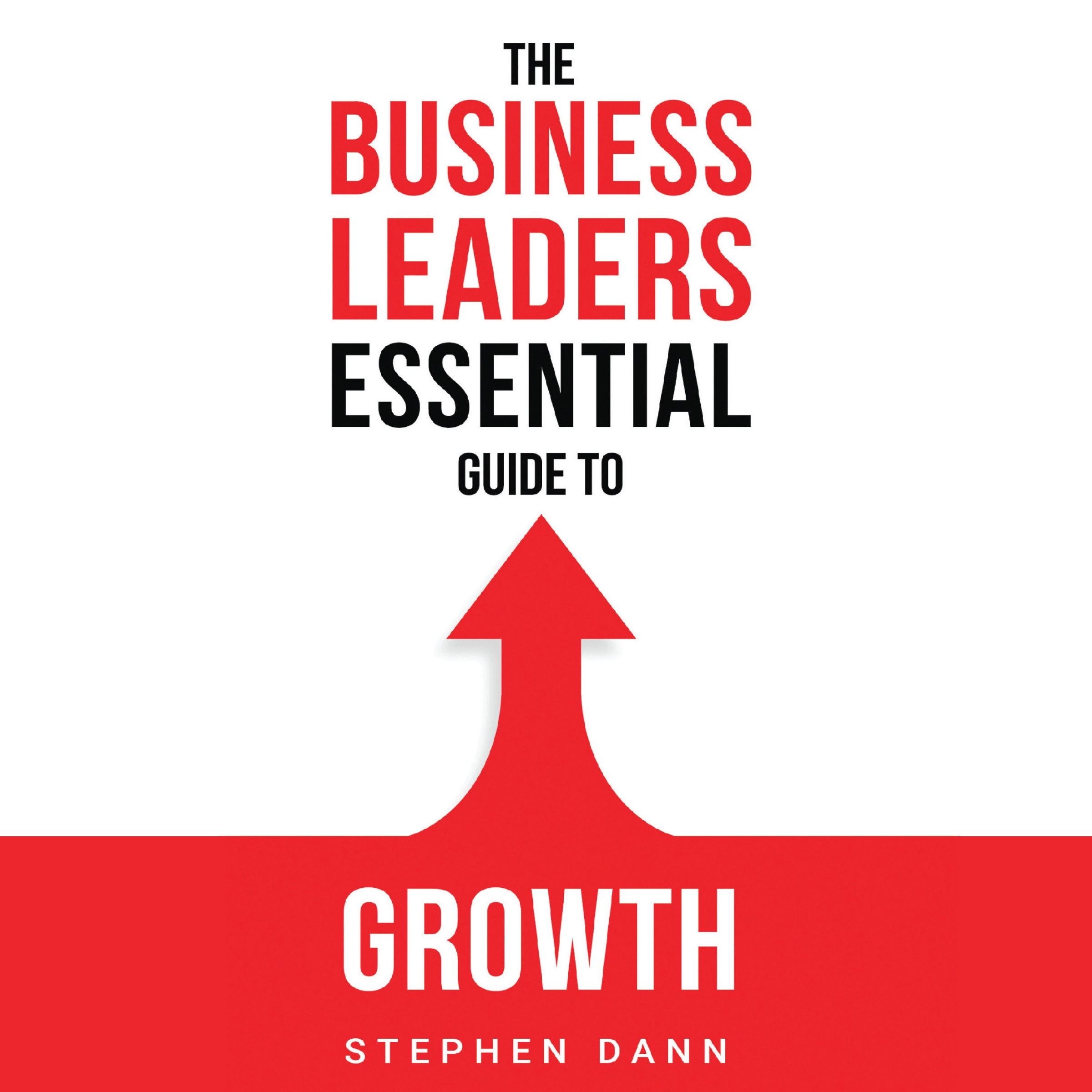 The Business Leaders Essential Guide to Growth by Stephen Dann