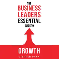 The Business Leaders Essential Guide to Growth Audiobook by Stephen Dann