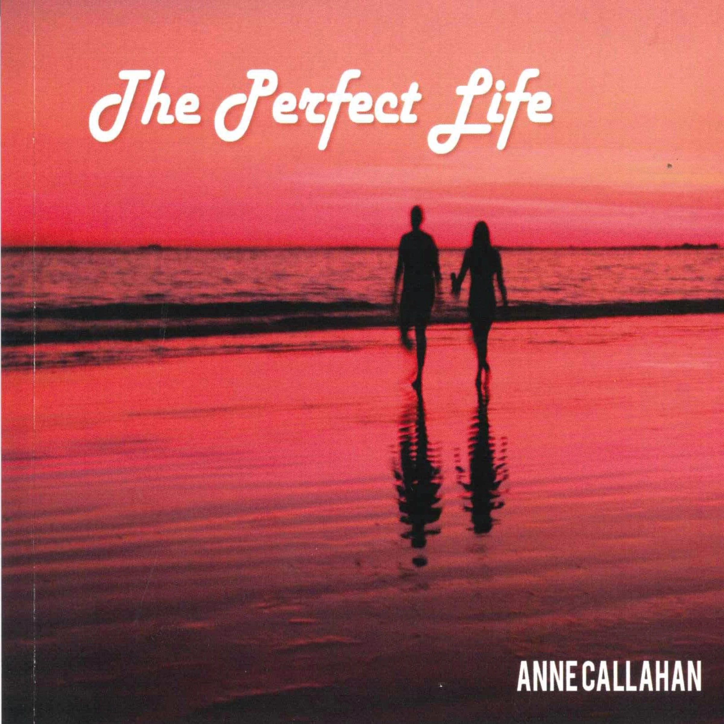 The Perfect Life by Anne Callahan Audiobook