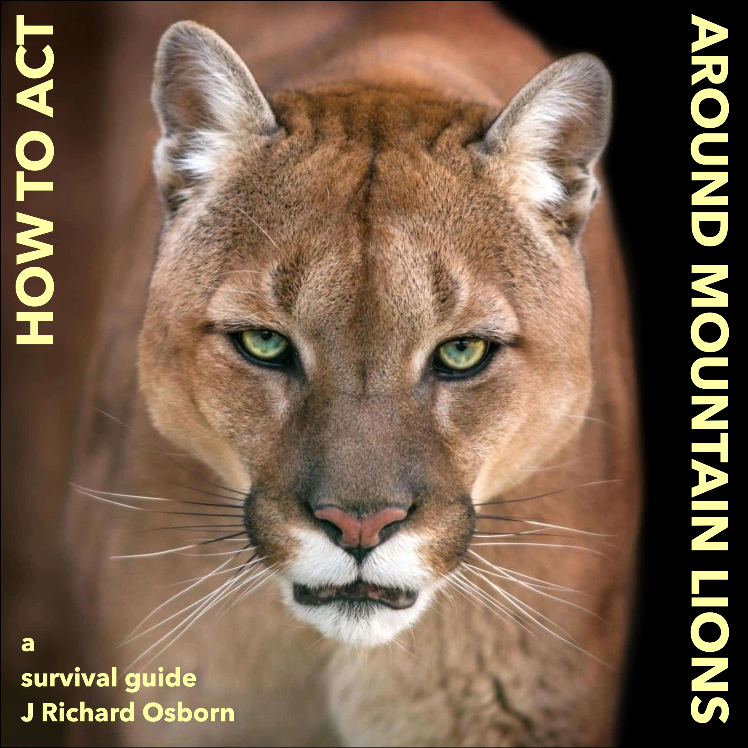 How to Act around Mountain Lions by J Richard Osborn Audiobook