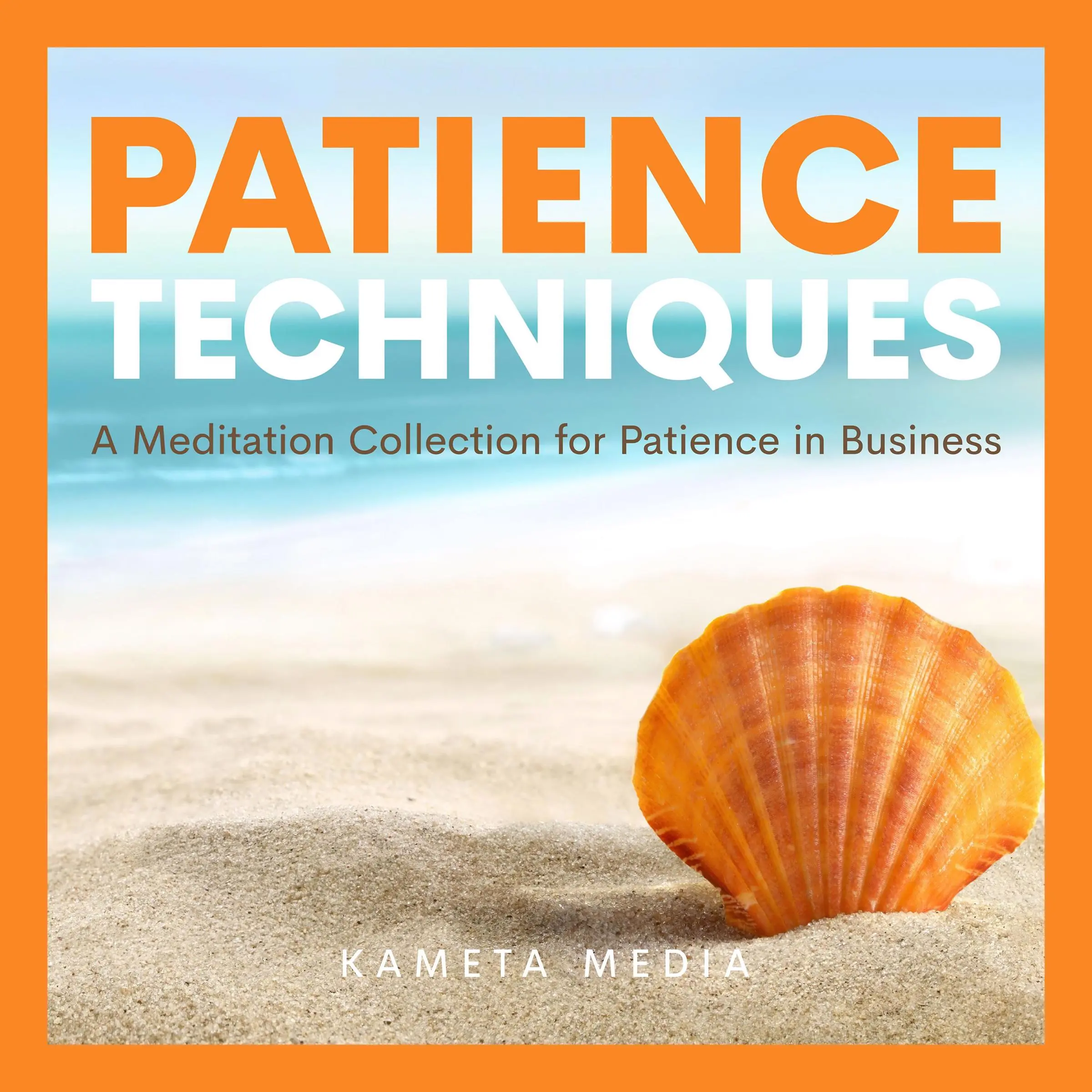 Patience Techniques: A Meditation Collection for Patience in Business by Kameta Media Audiobook