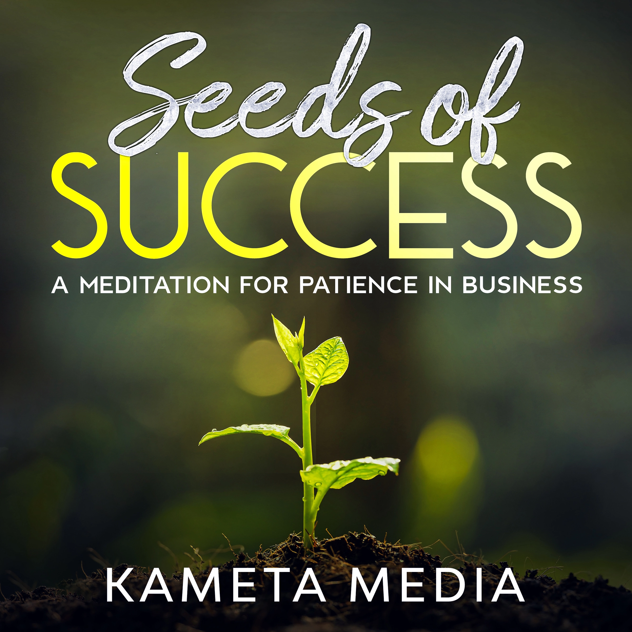 Seeds of Success: A Meditation for Patience in Business Audiobook by Kameta Media