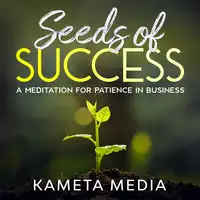 Seeds of Success: A Meditation for Patience in Business Audiobook by Kameta Media