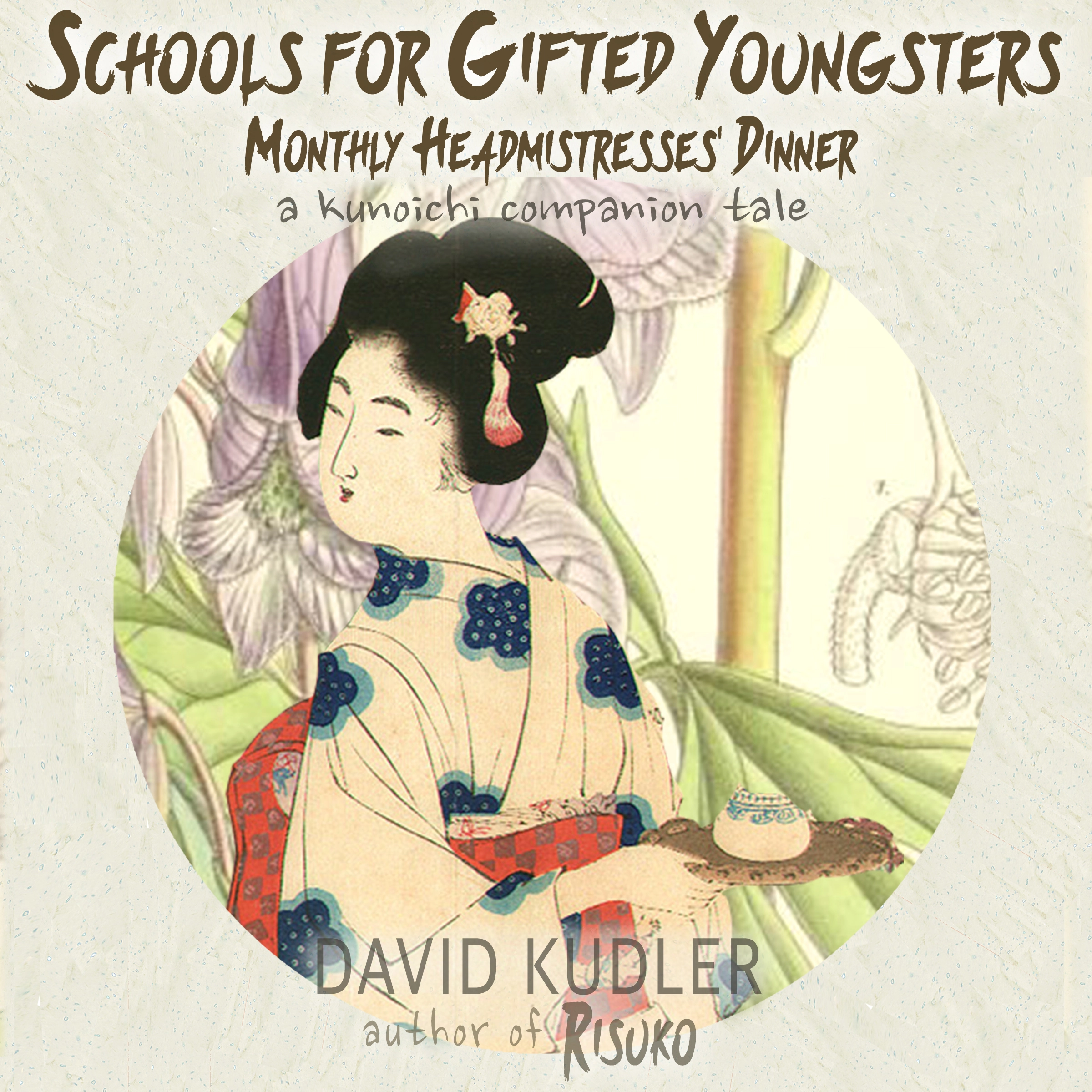 Schools for Gifted Youngsters Audiobook by David Kudler