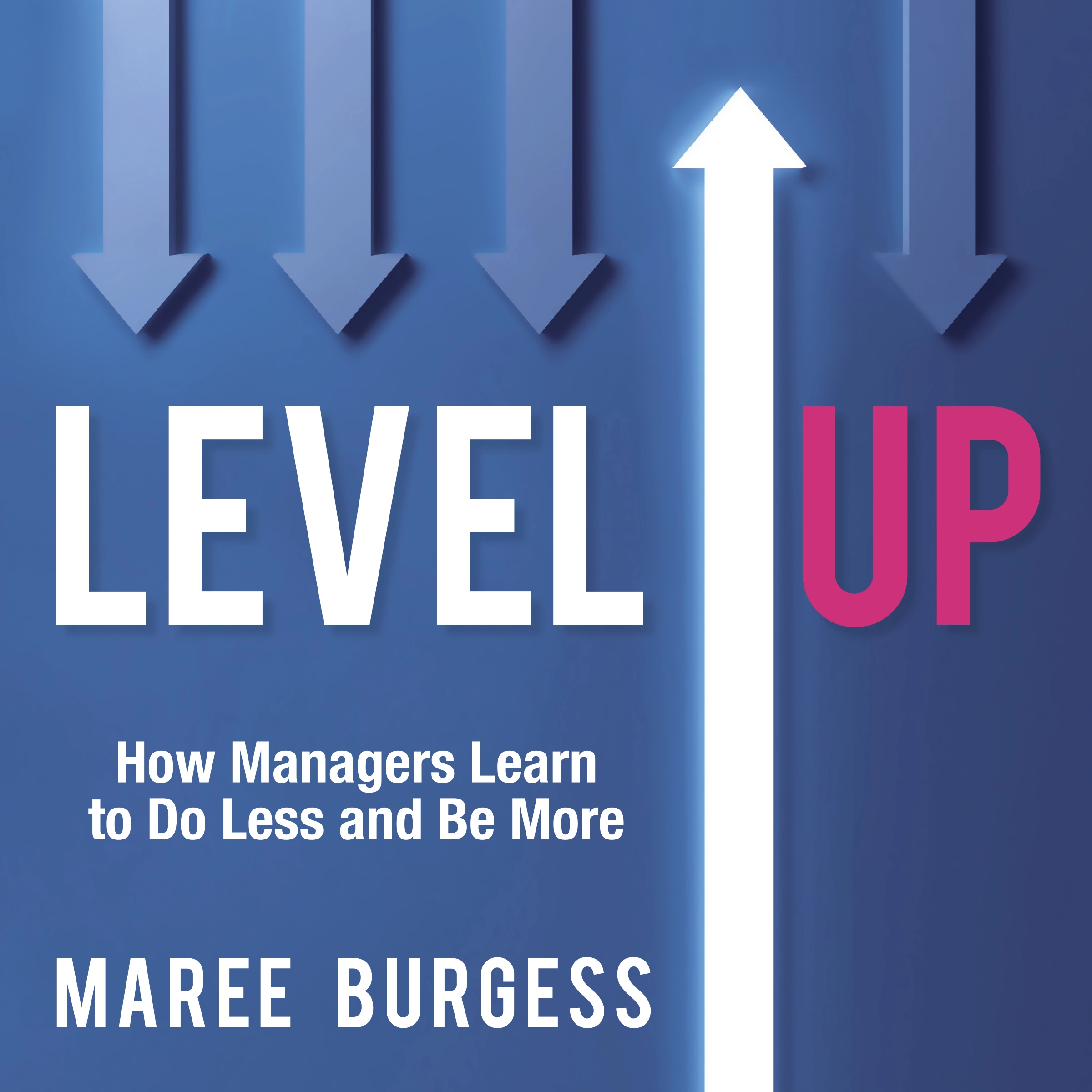 Level Up Audiobook by Maree Burgess