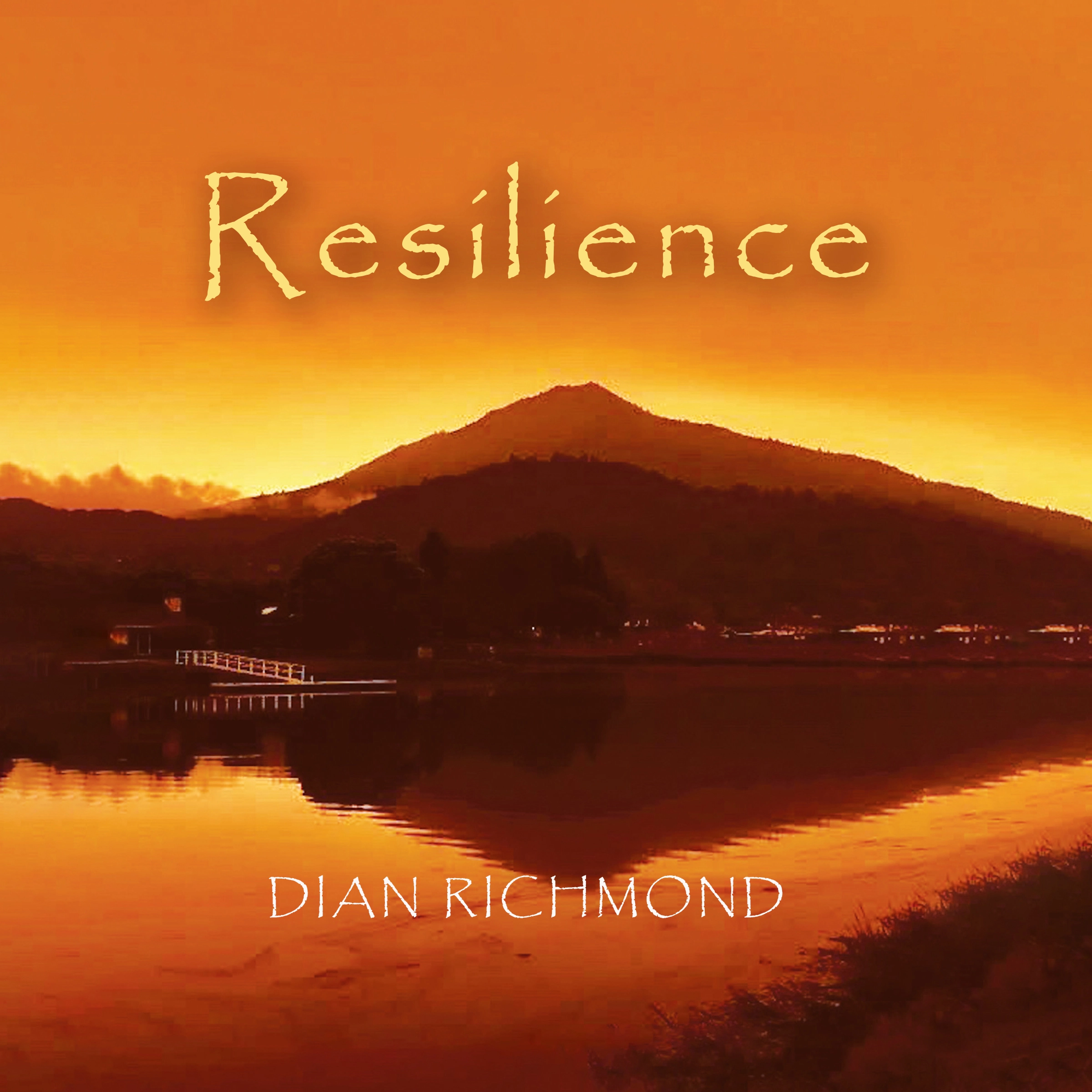 Resilience by Diana Richmond Audiobook