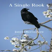 A Single Rook Audiobook by Janet Ollerenshaw