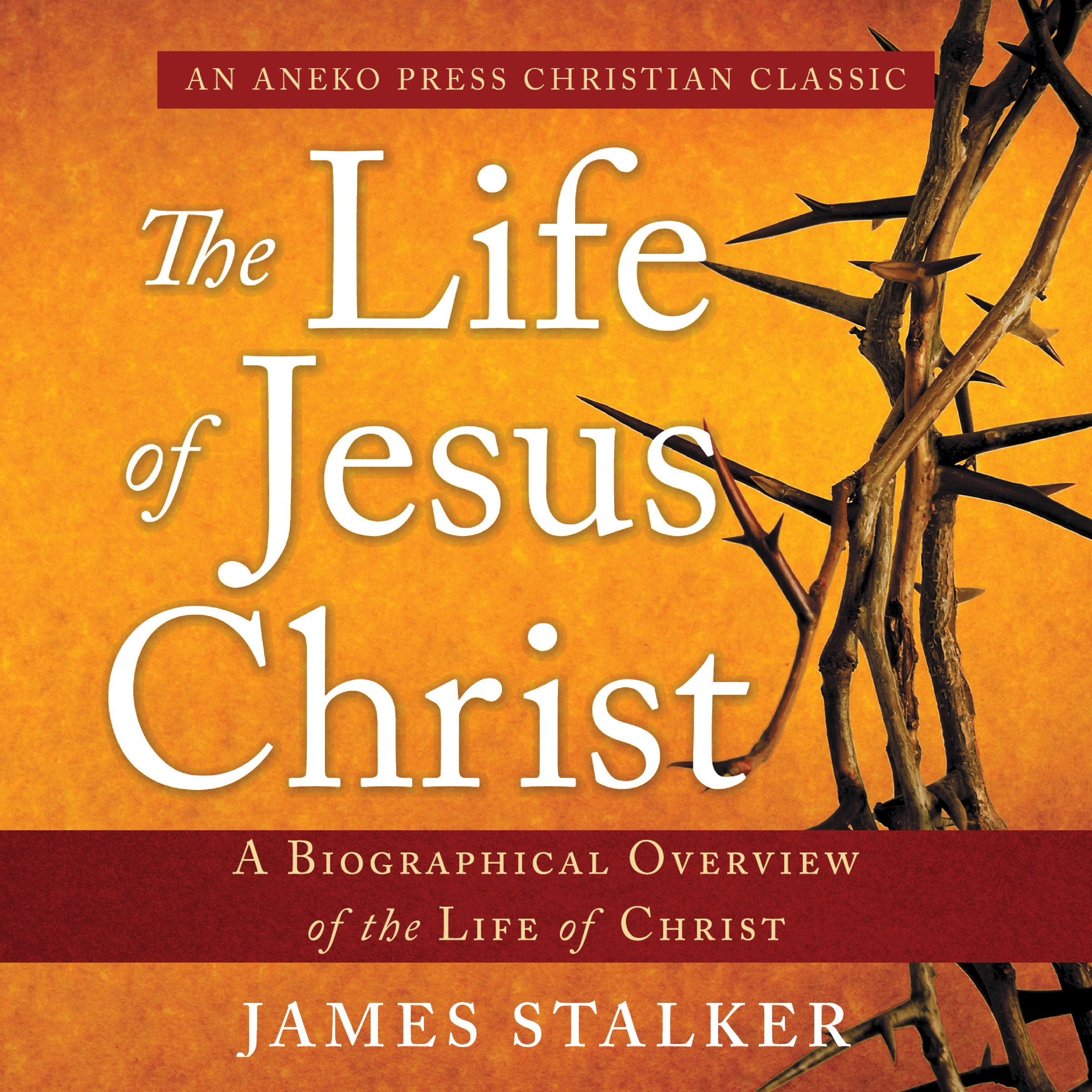 The Life of Jesus Christ by James Stalker Audiobook