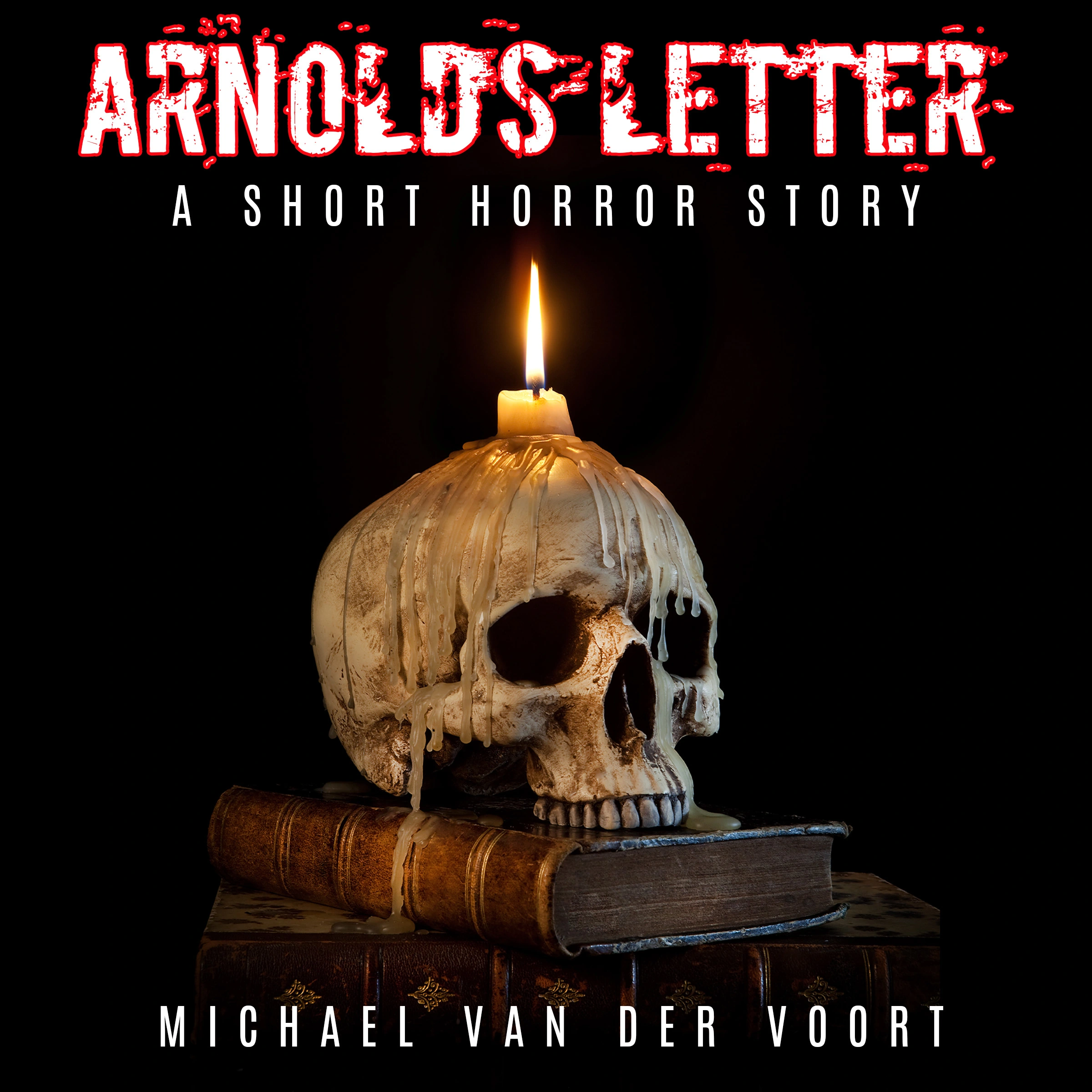 Arnolds' Letter by Michael van der Voort Audiobook