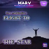 The Meditation Flight To The Star Audiobook by Max Topoff