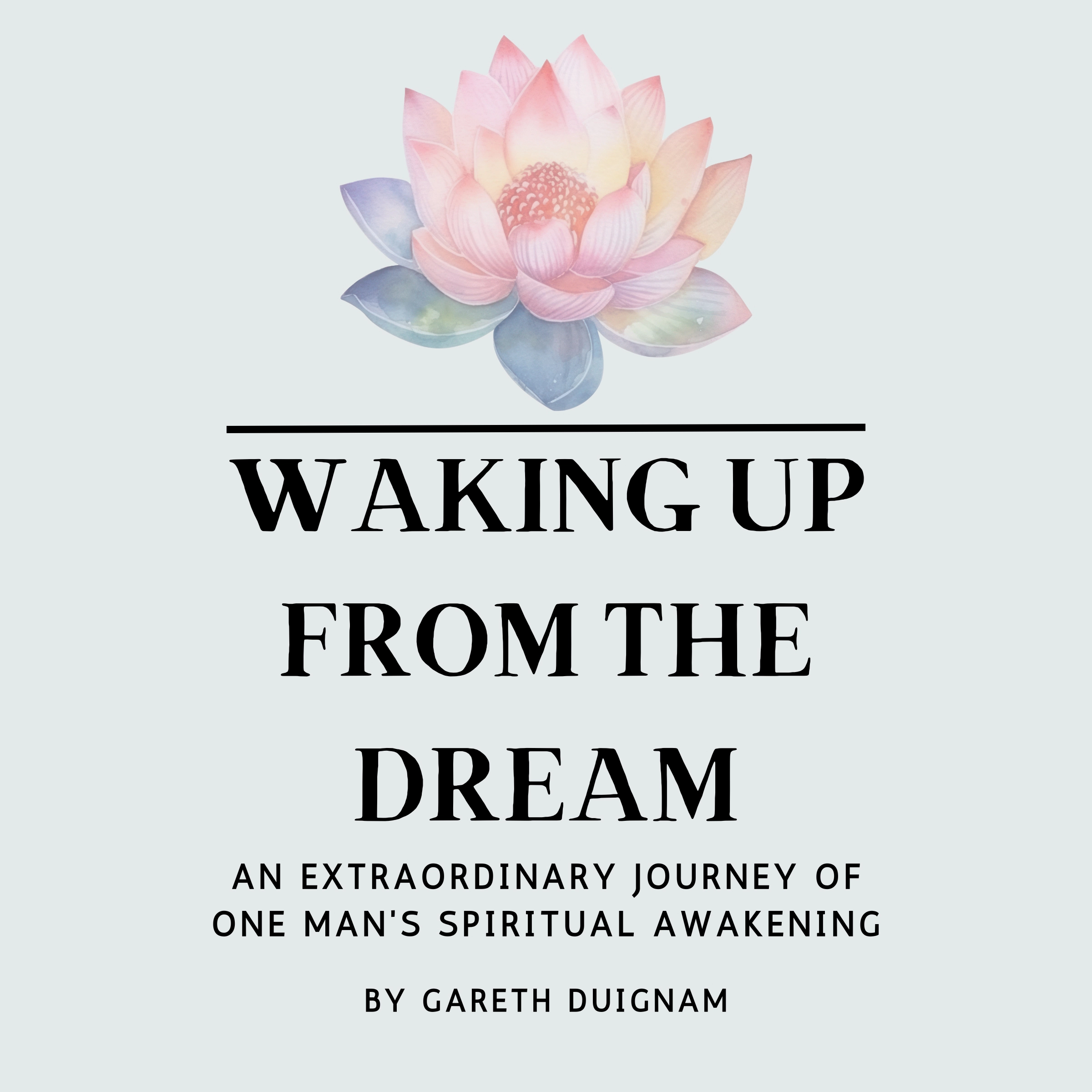 Waking Up From The Dream by Gareth Duignam