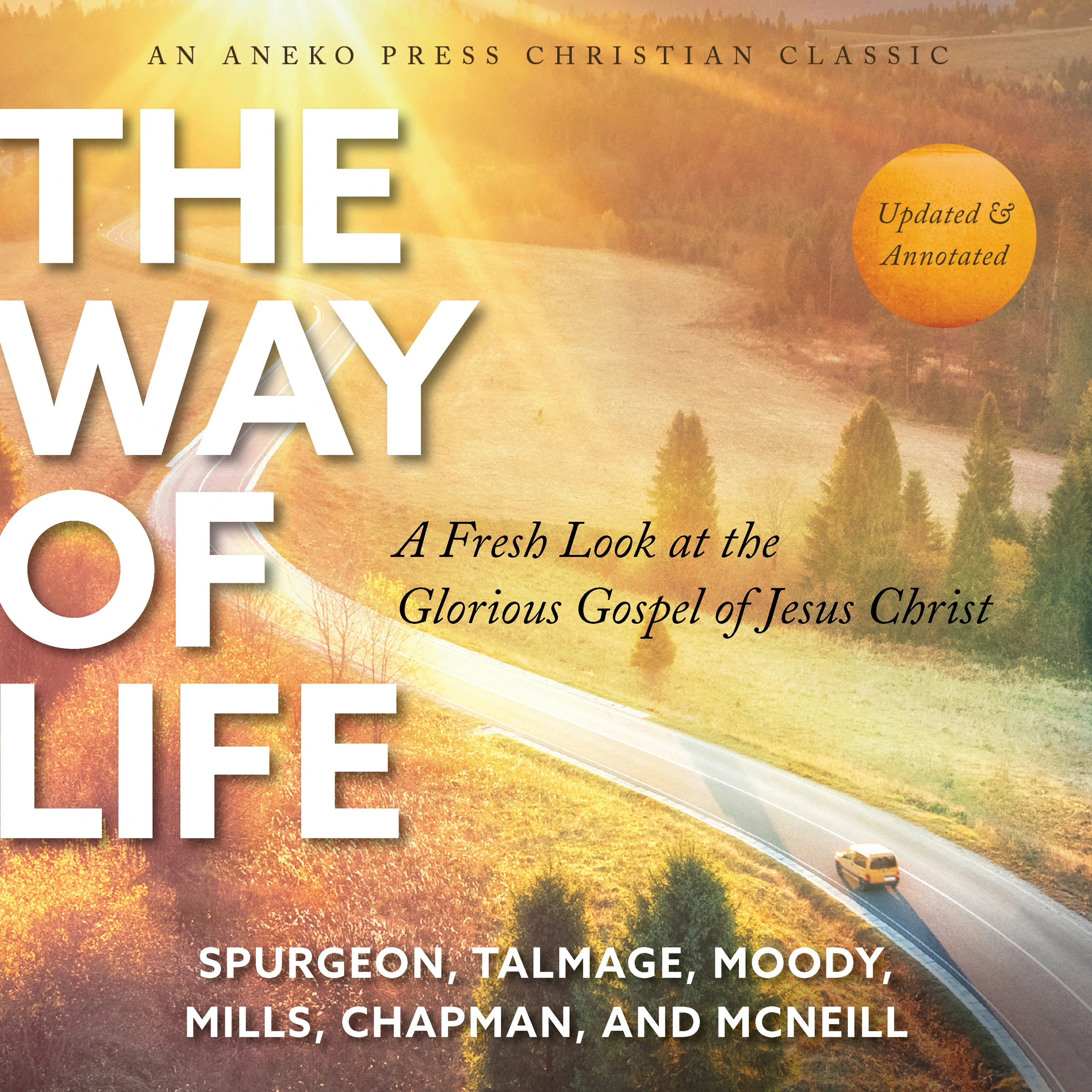 The Way of Life by Thomas De Witt Talmage Audiobook