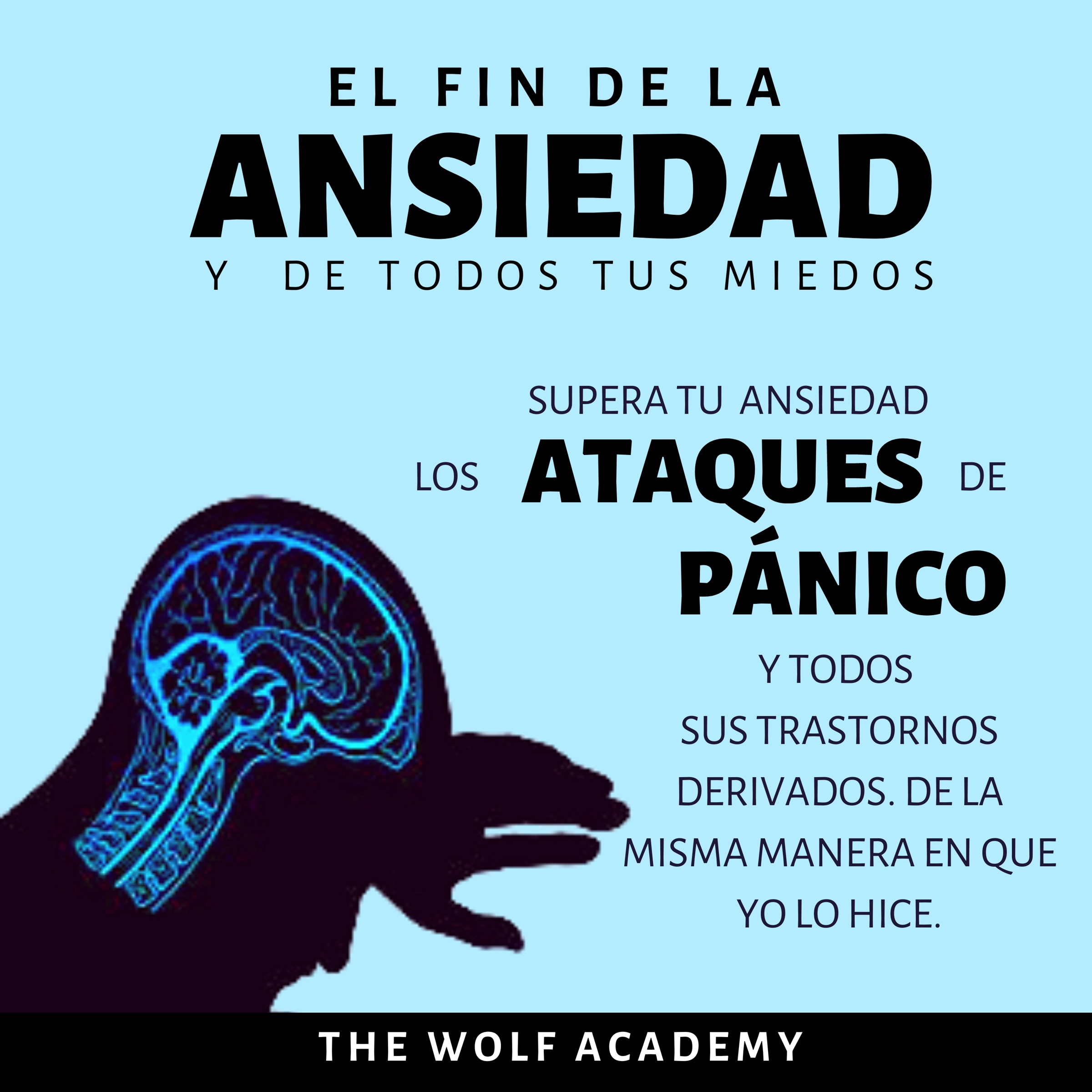 El fin de la Ansiedad y de todos tus miedos by The Wolf Academy Audiobook