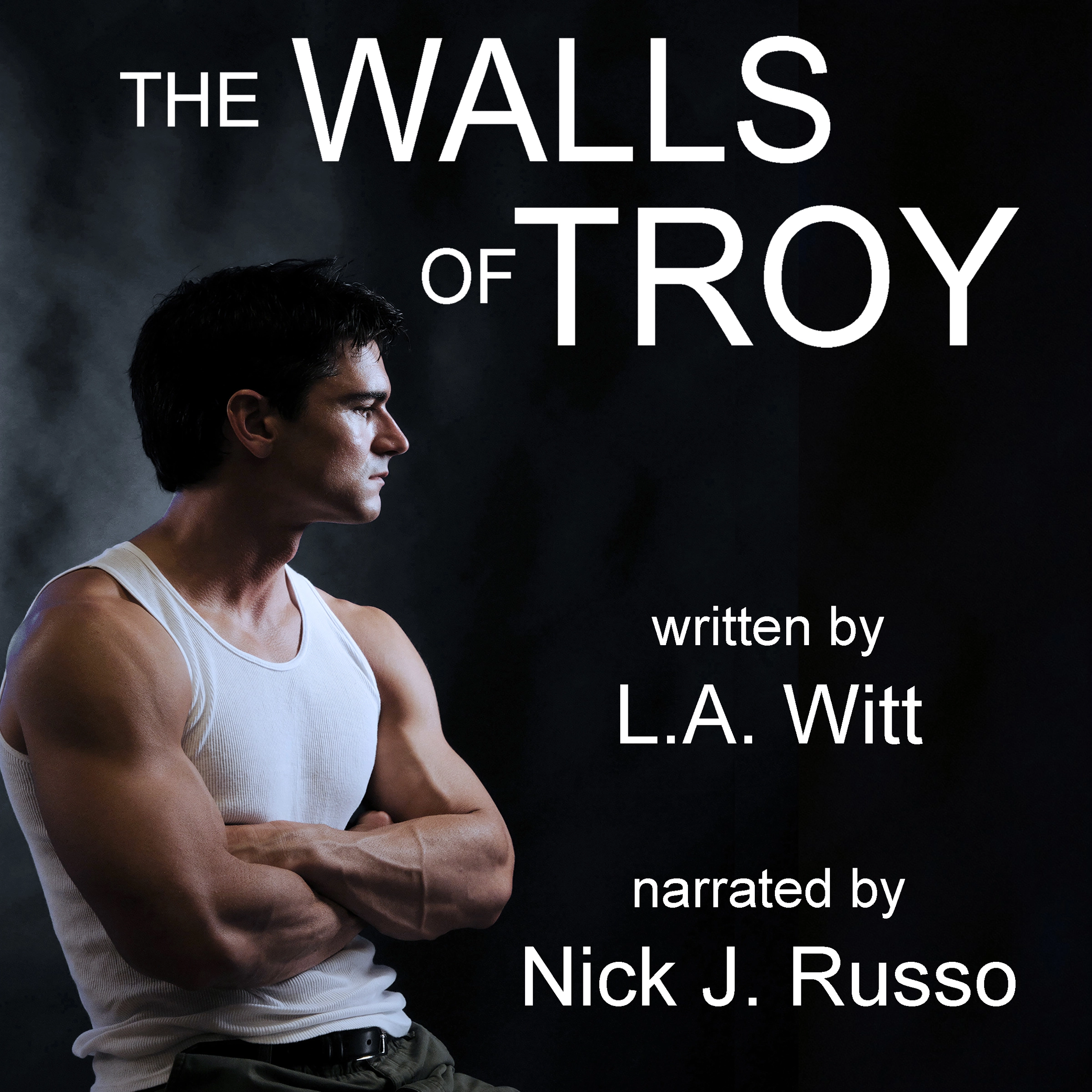 The Walls of Troy Audiobook by L.A. Witt