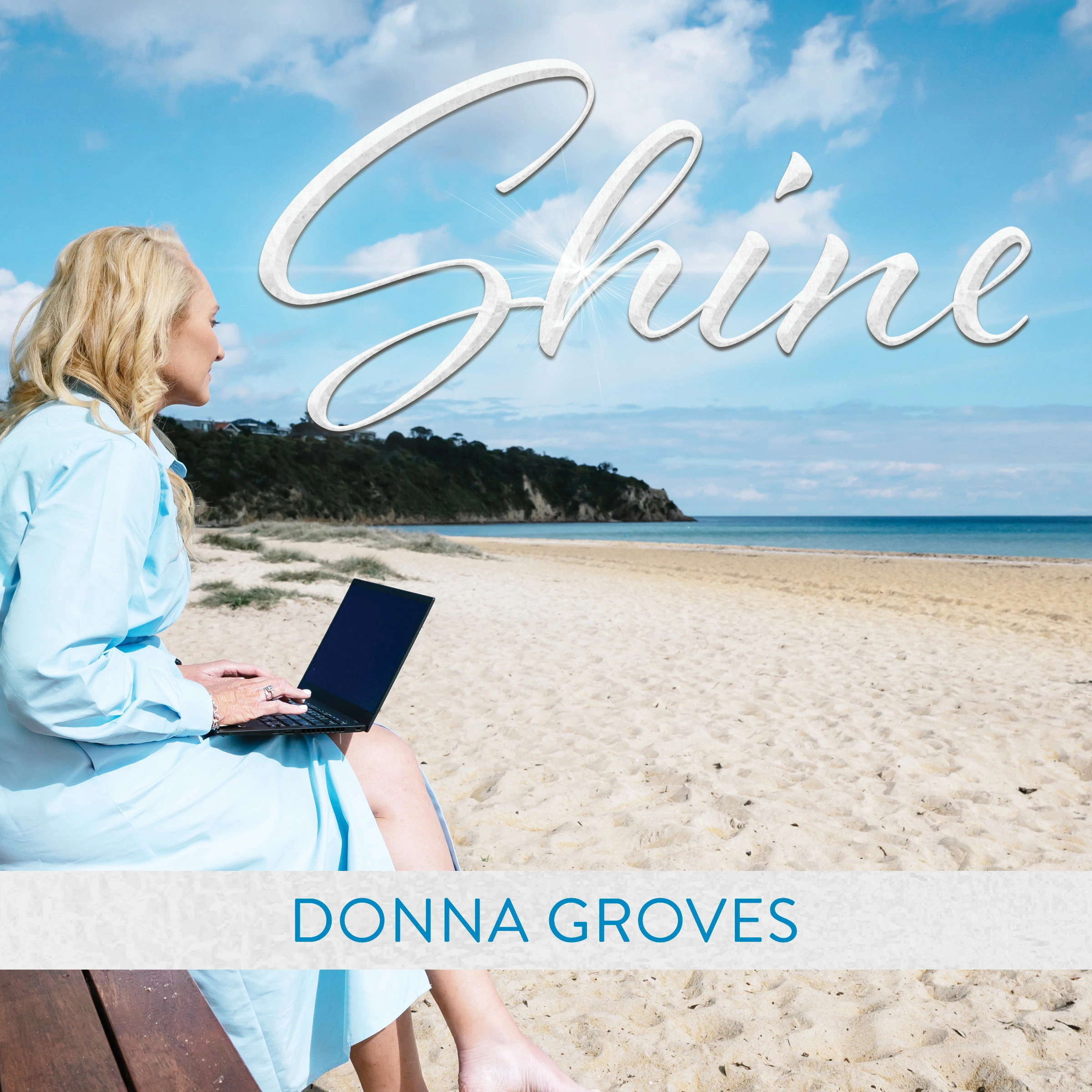 Shine by Donna Groves Audiobook