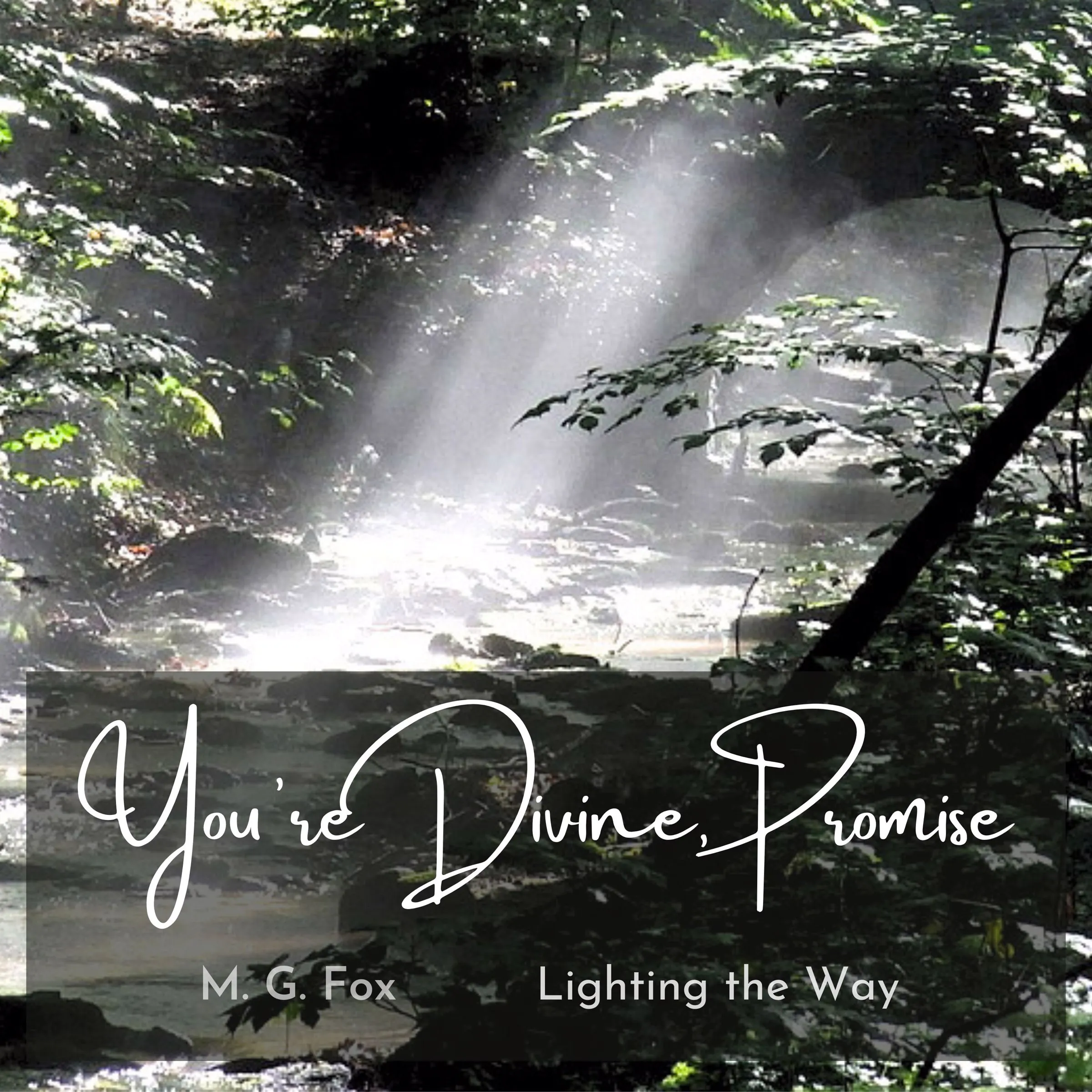 You’re Divine, Promise Audiobook by M. G. Fox