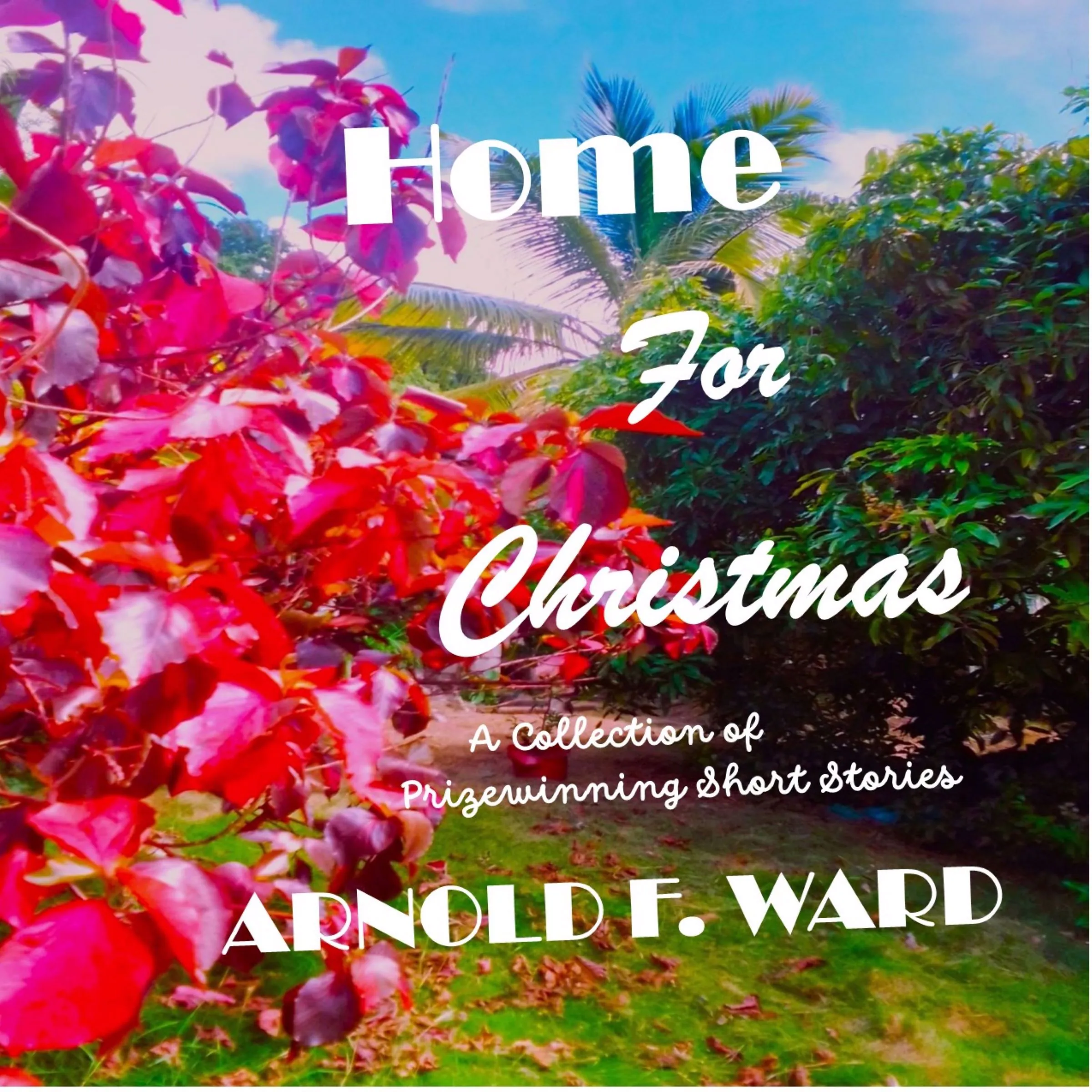 Home For Christmas Audiobook by Arnold F Ward